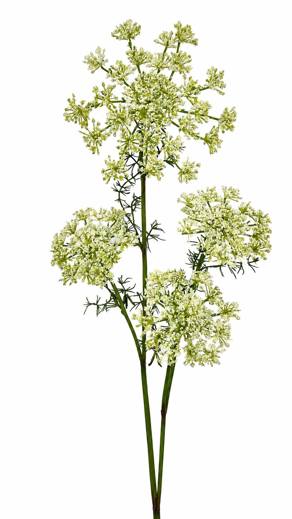 FL13603 QUEEN ANN LACE SPRAYx4 45"