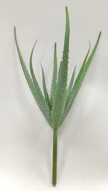 FL13637 ALOE,18"