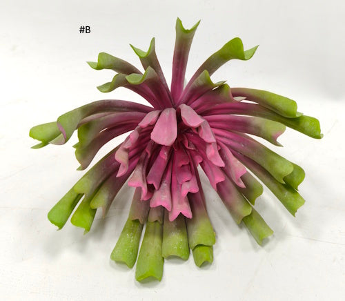 FL13639 AEONIUM SUCCULENT,10"