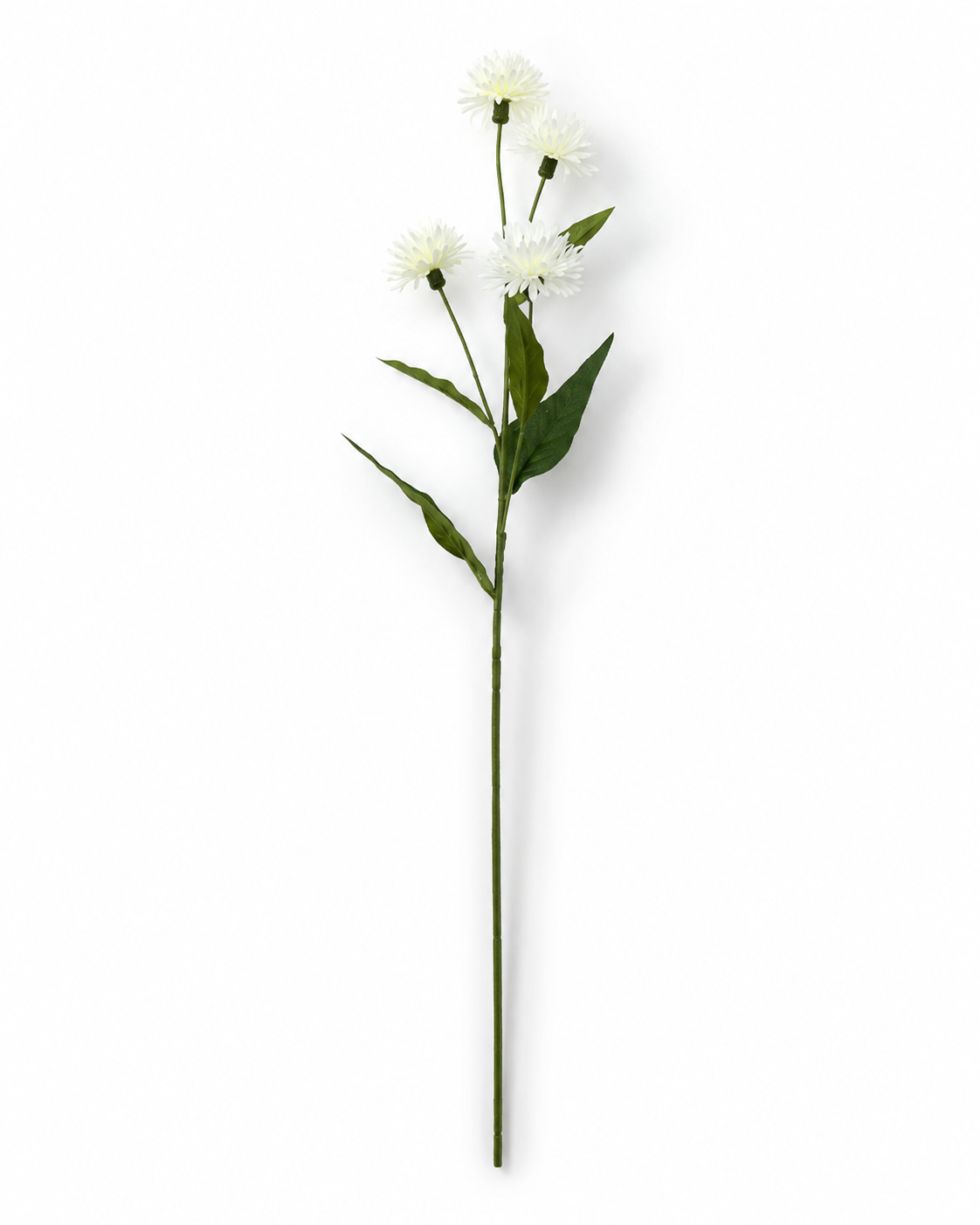 FL13708 CORN FLOWER SPRAY 32.5"