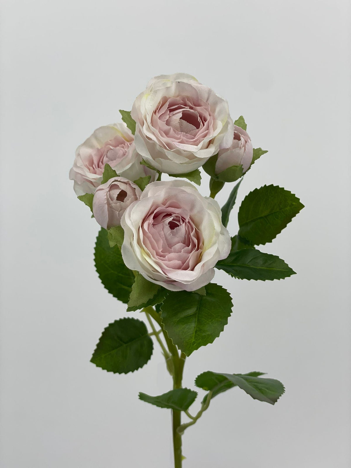 FL13752 MINI ROSE SPRAYx5F 25"