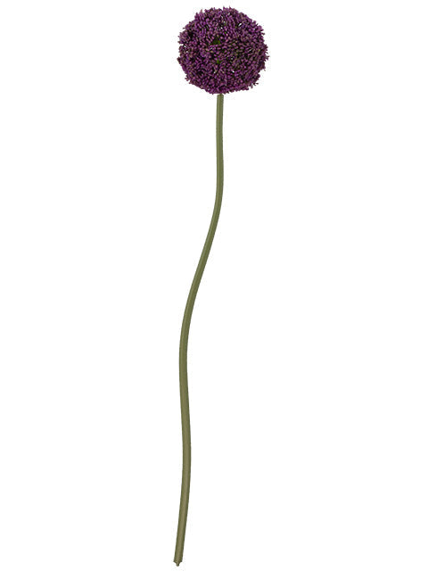 FL13767 ALLIUM SPRAY 29.5"