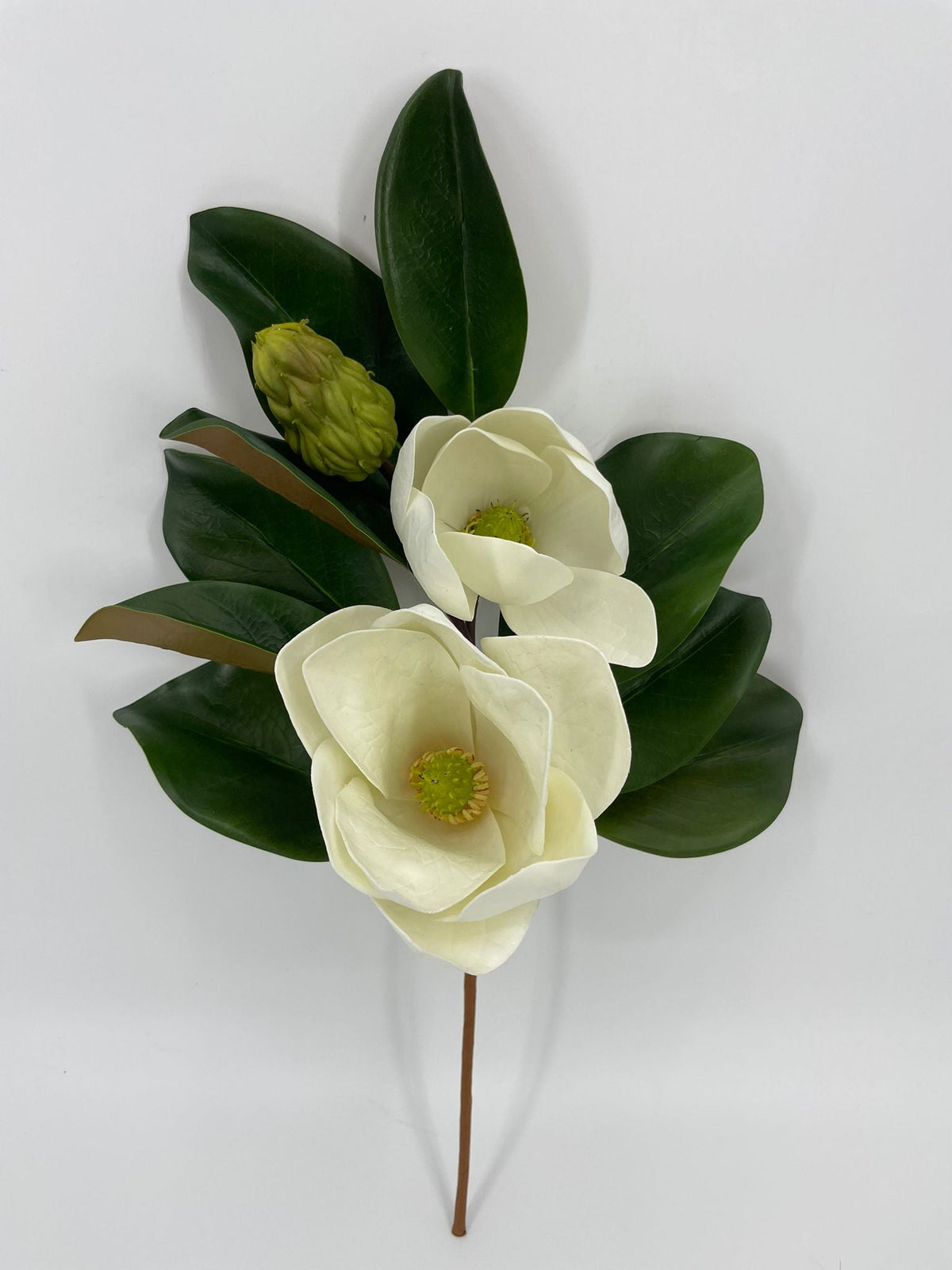 FL13802 MAGNOLIA SPRAYx2F1B 20"