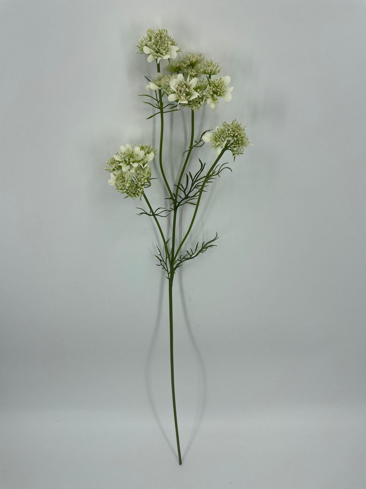 FL13803 QUEEN ANNES LACE 33"