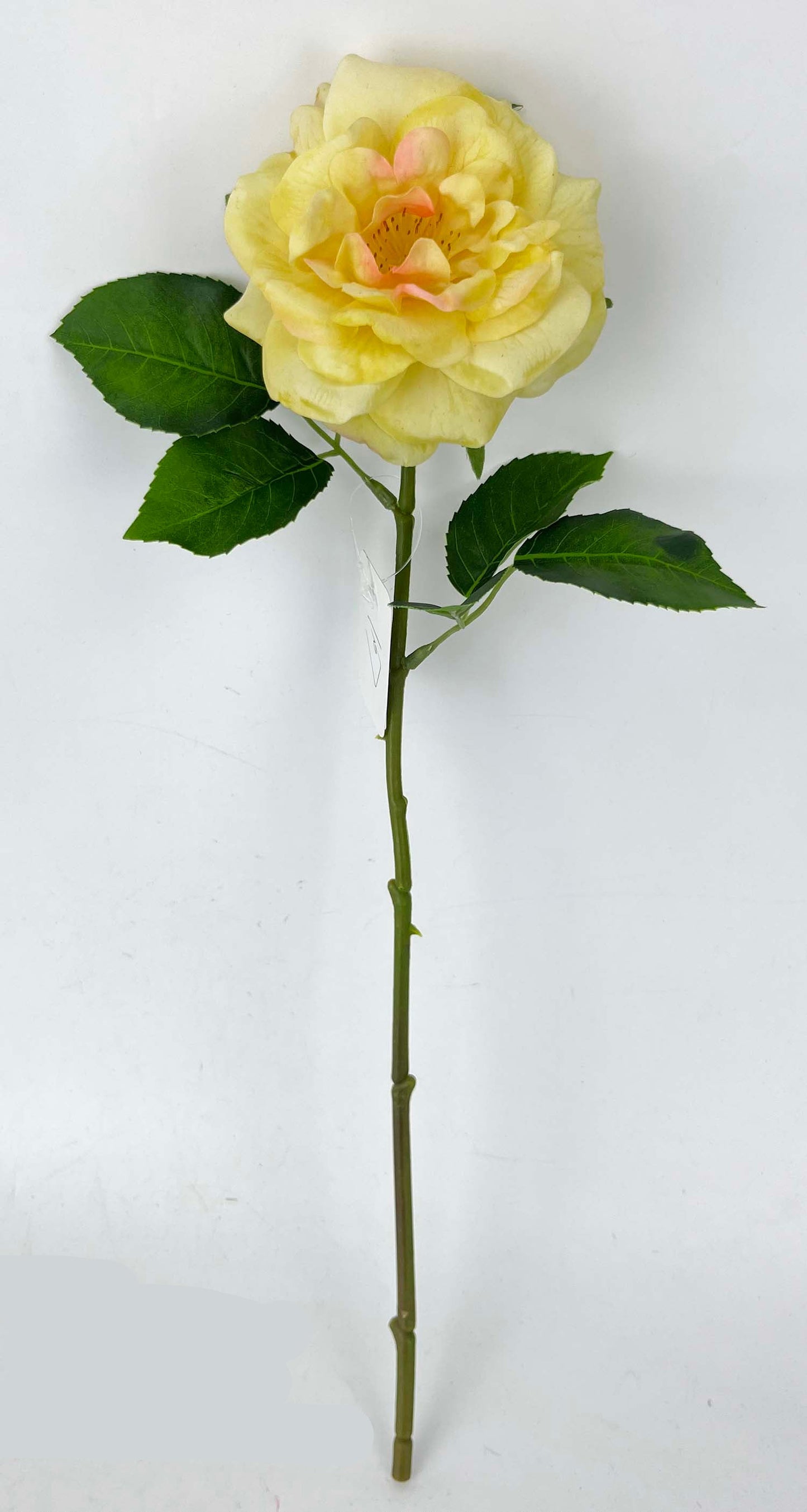 FL13811 GARDEN ROSE SPRAY (NAT) 18"