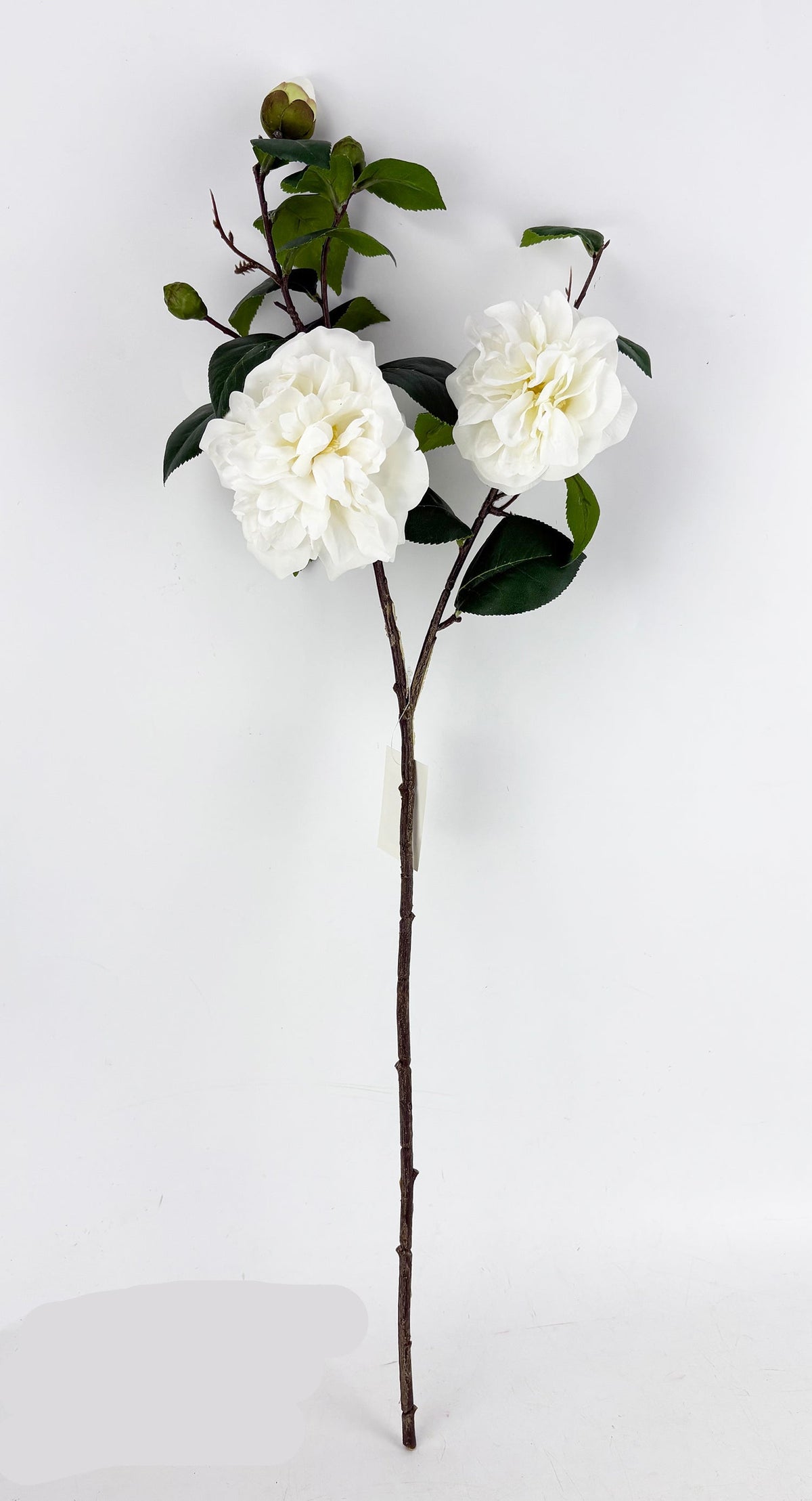FL13813 CAMELLIA SPRAYx2F3B (NAT) 27"