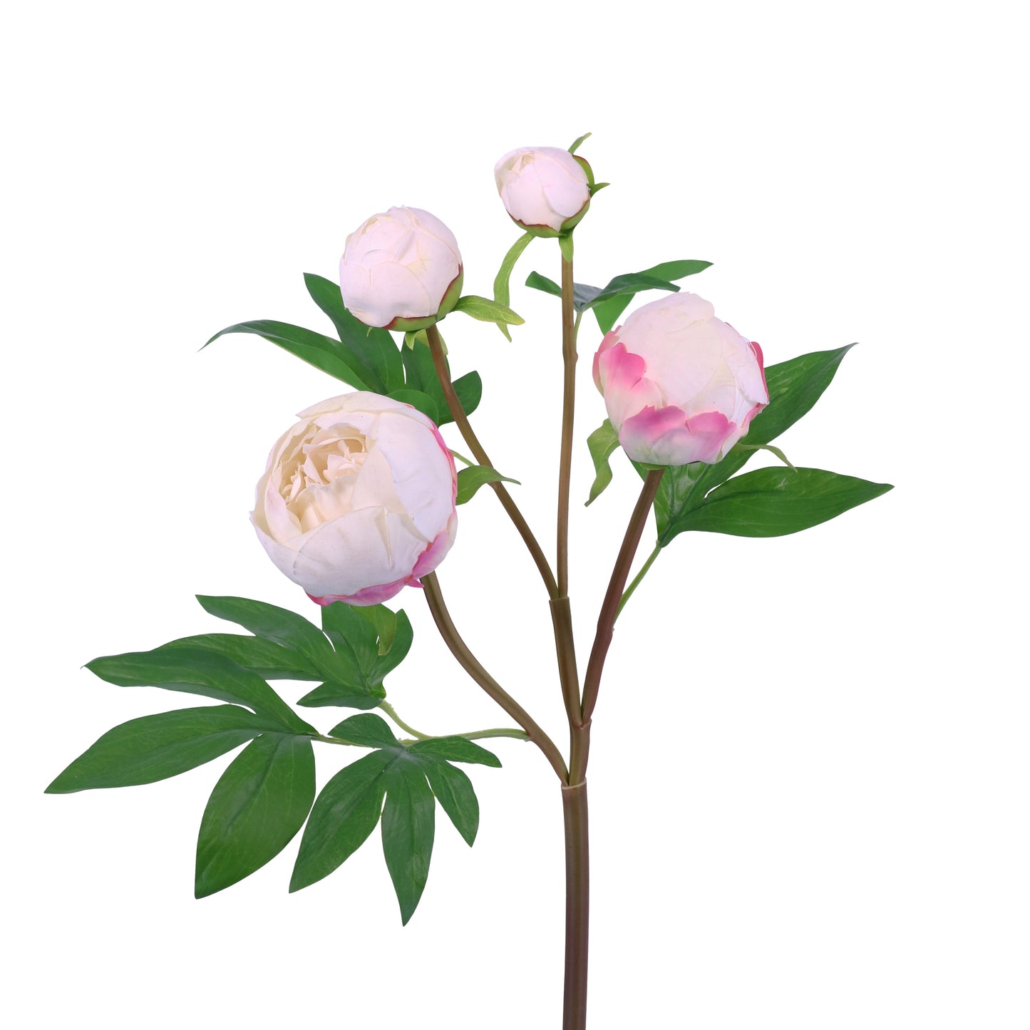 FN20003 PEONY BUD SPRAYx4(NAT),25in-12P/96