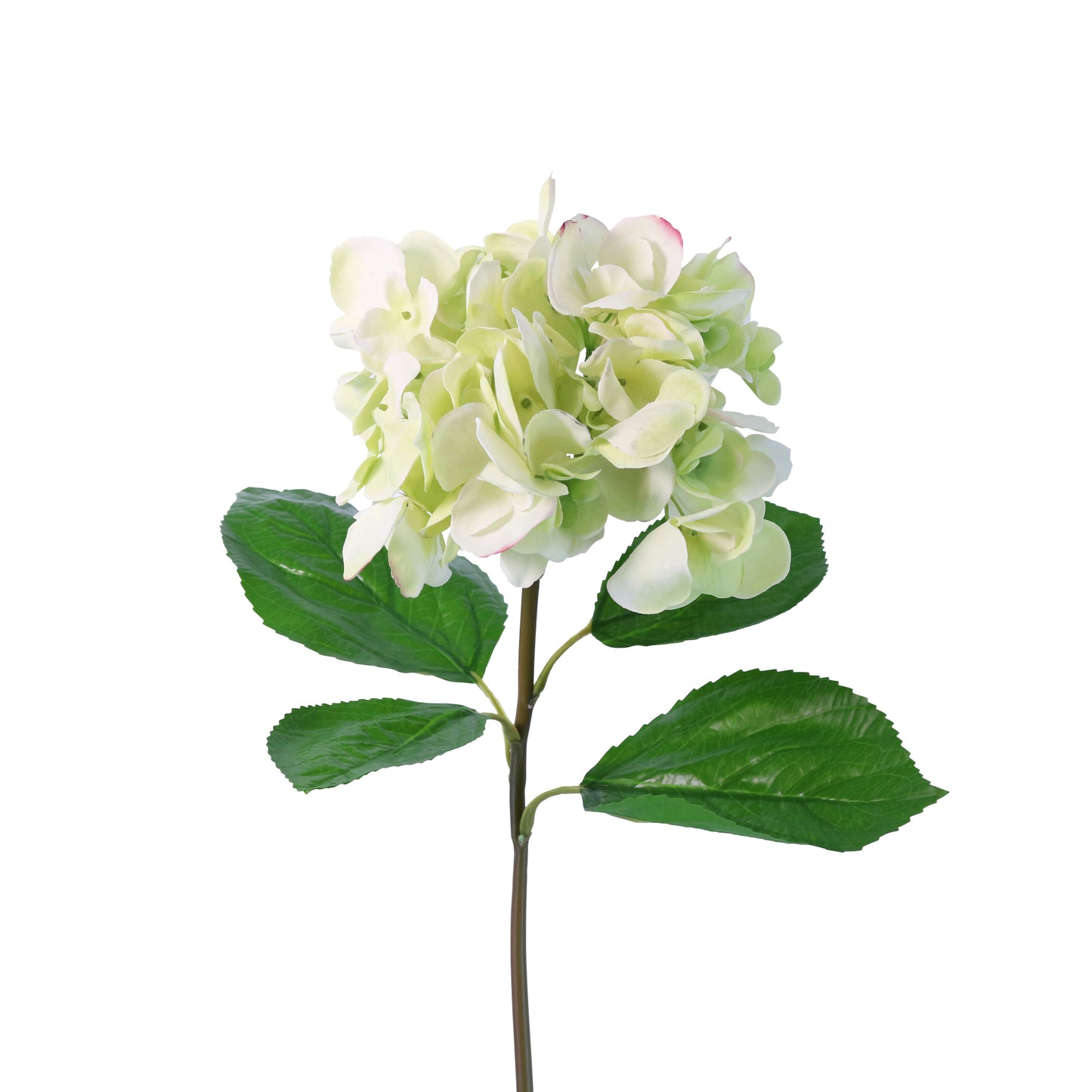 FN20004 HYDRANGEA SPRAYx4L(NAT),25in-12P