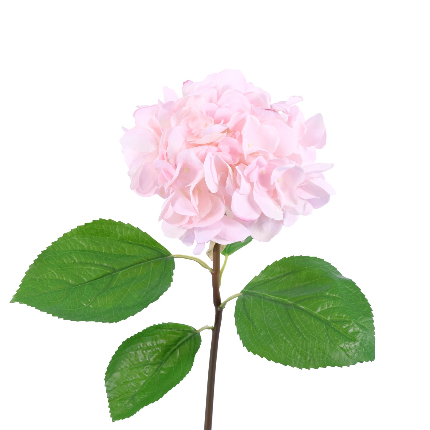 FN20004 HYDRANGEA SPRAYx4L(NAT),25in-12P