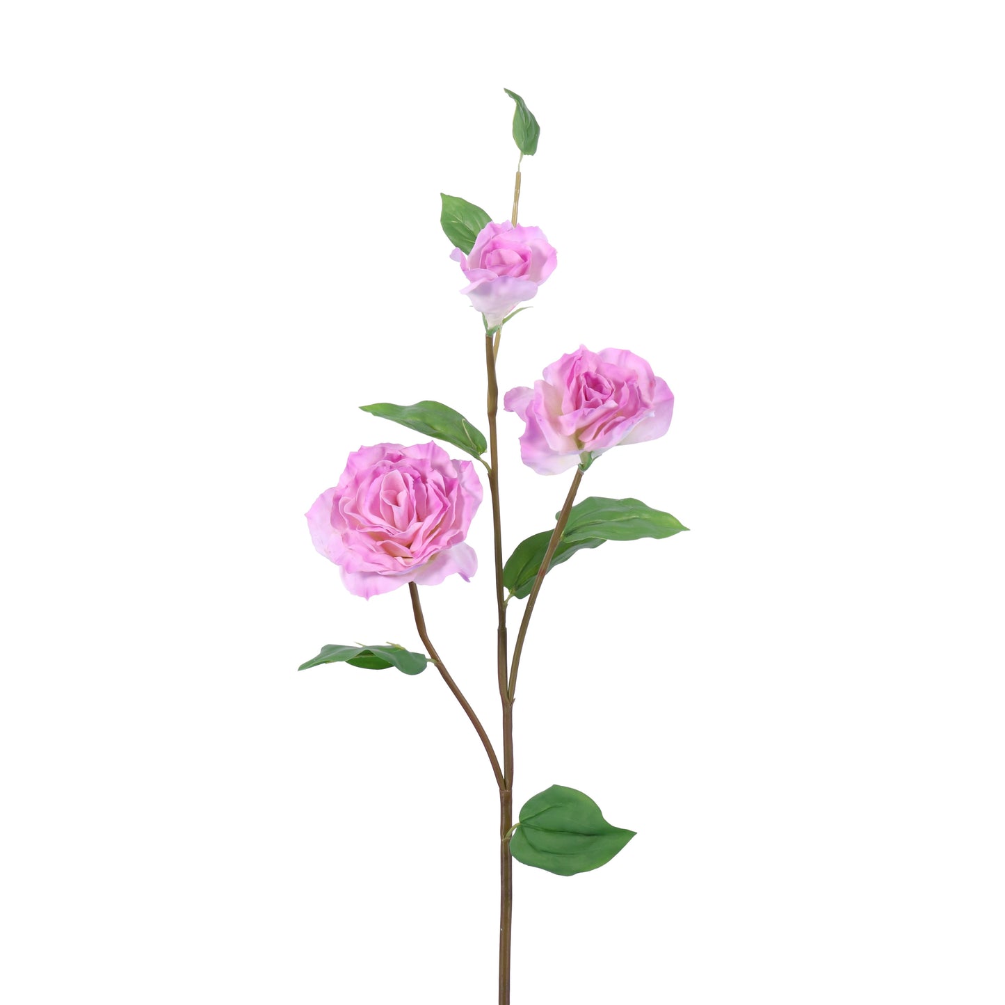 FN20005 DOUBLE LISIANTHUS SPx3F(NAT),31in