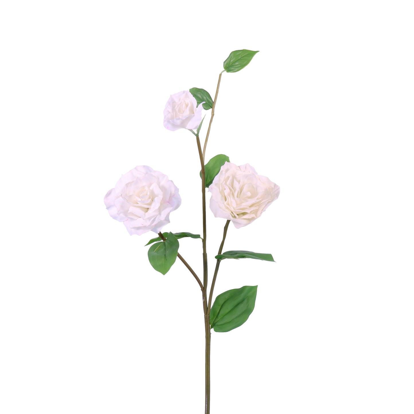 FN20005 DOUBLE LISIANTHUS SPx3F(NAT),31in