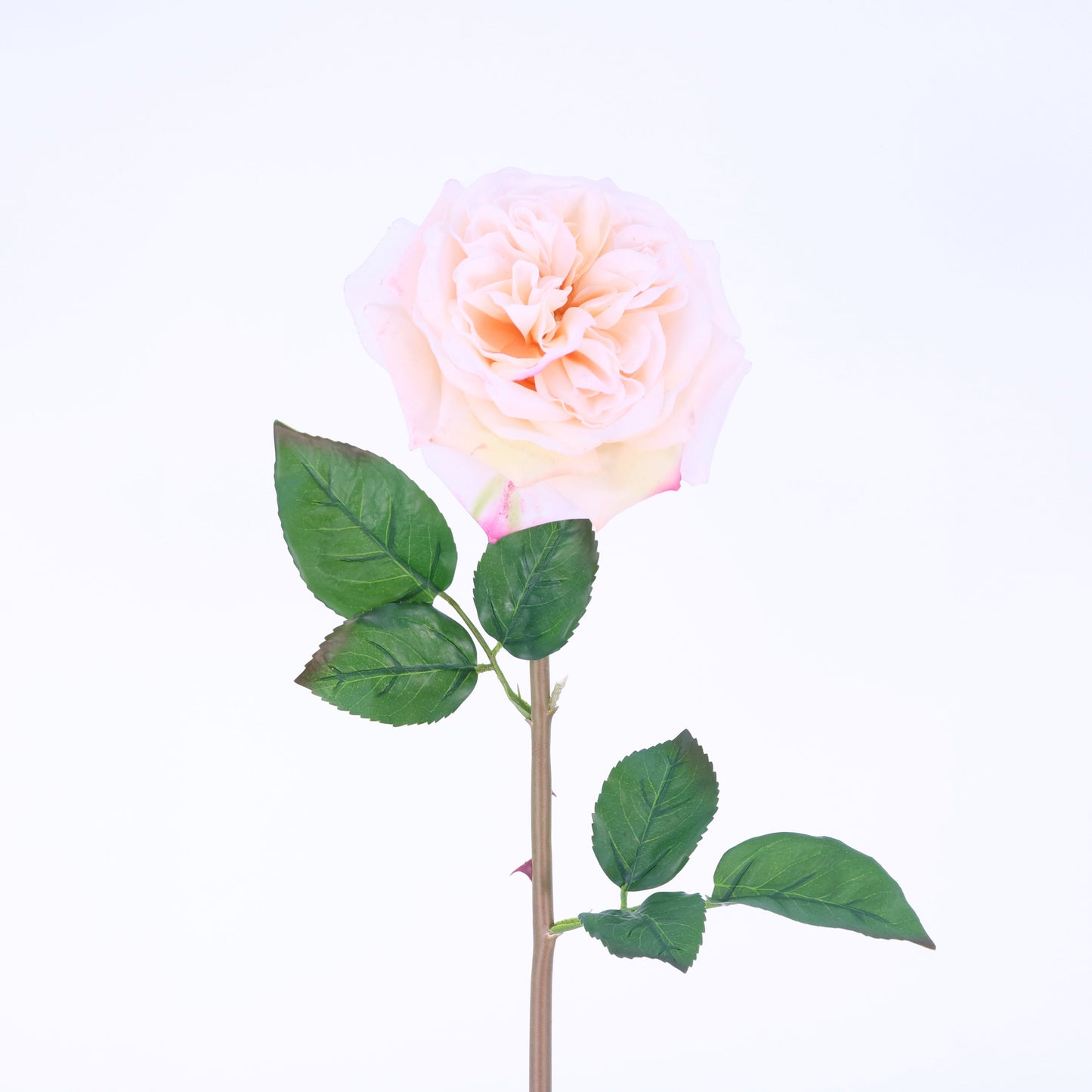 FN20022 ENGLISH ROSE SPRAY(NAT), 24"