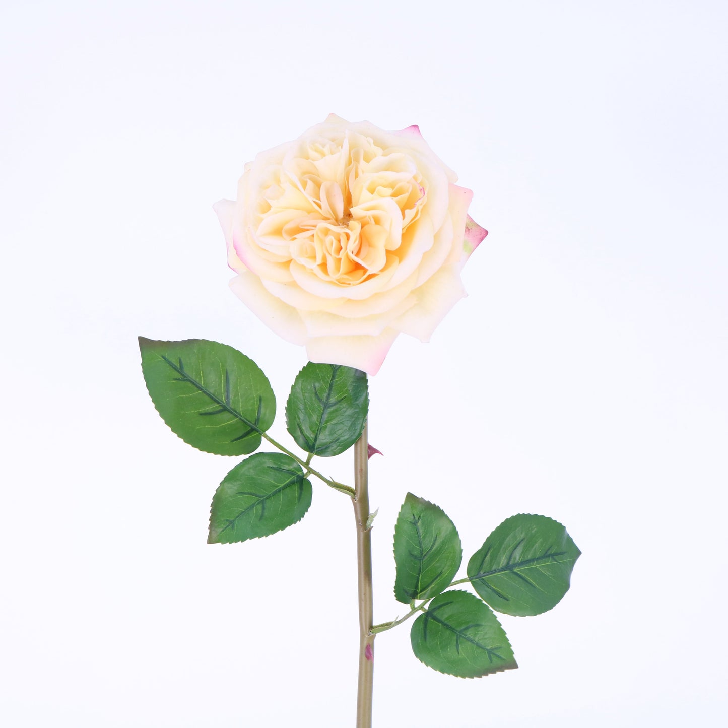 FN20022 ENGLISH ROSE SPRAY(NAT), 24"