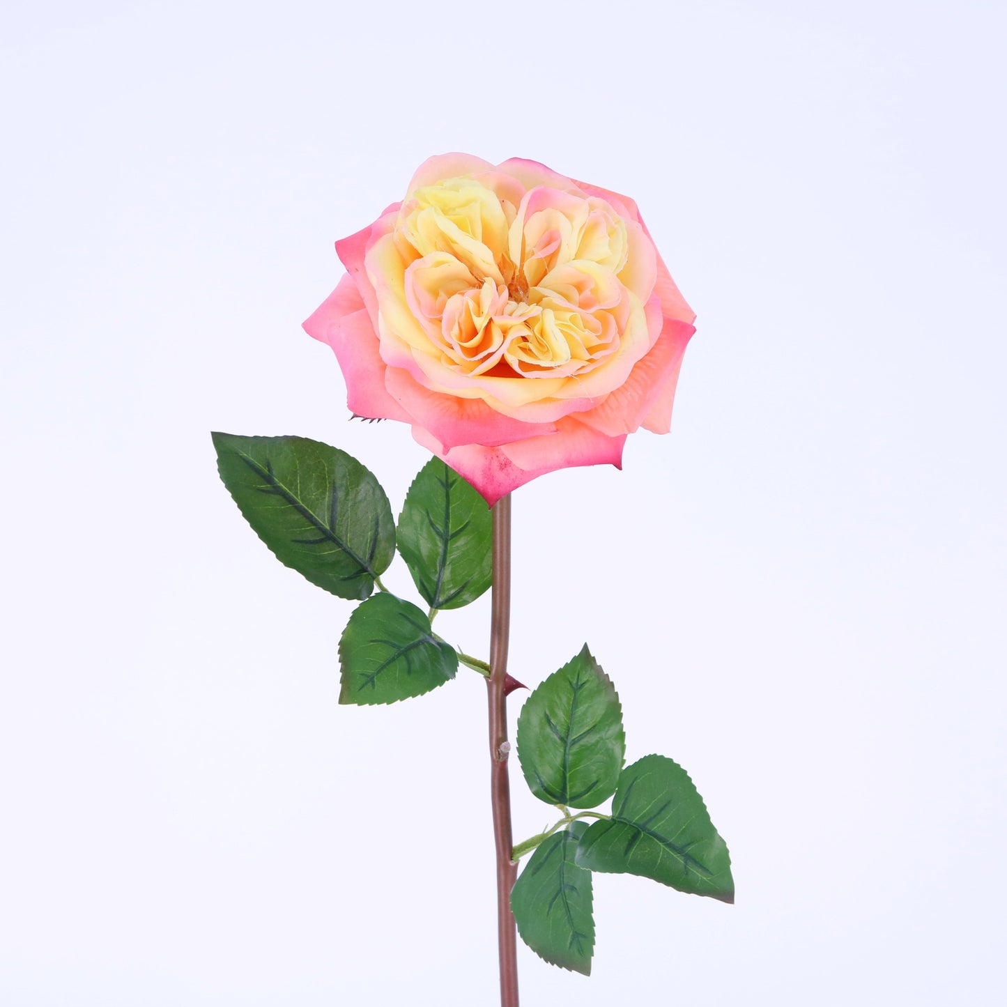 FN20022 ENGLISH ROSE SPRAY(NAT), 24"