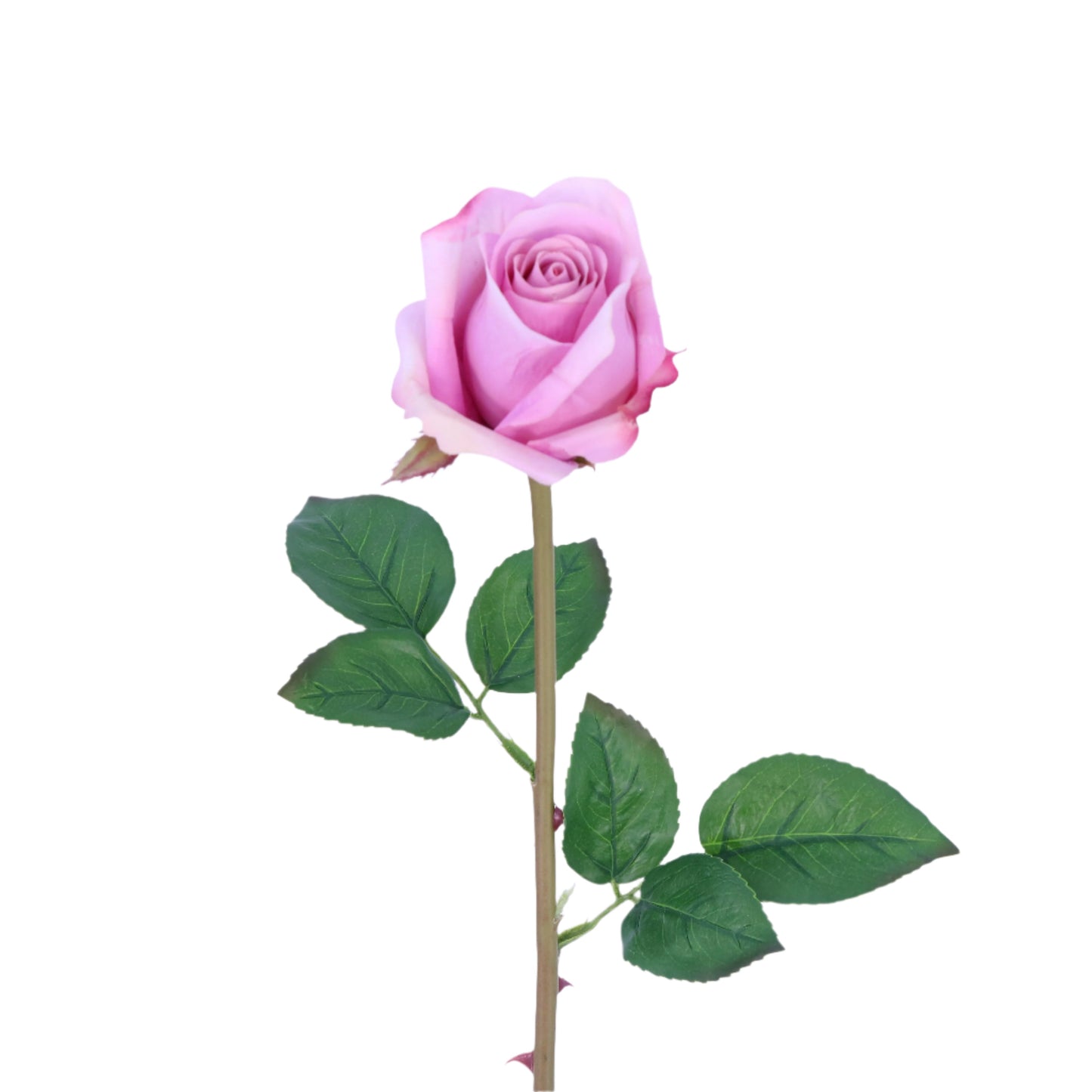 FN20023 ROSE BUD SPRAY(NAT), 23"