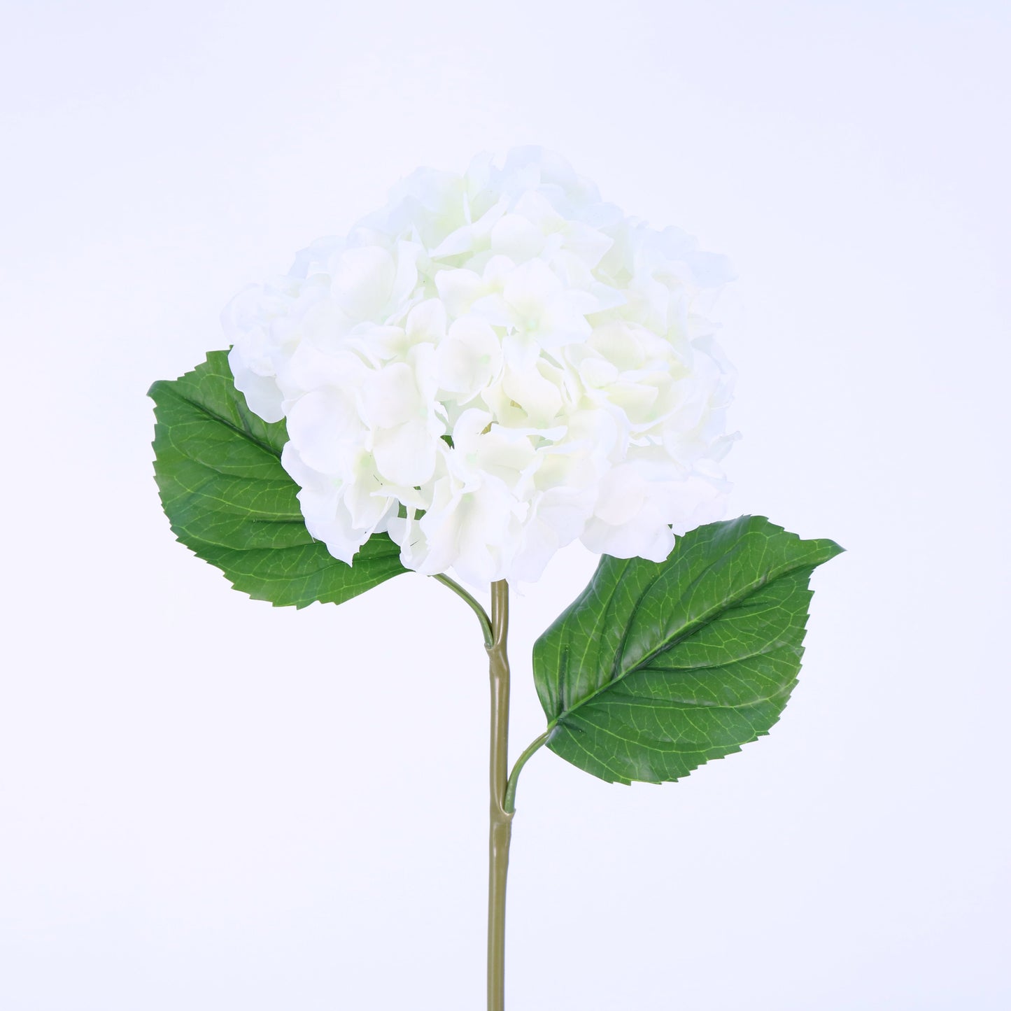 FN20024 HYDRANGEA(NAT), 22"