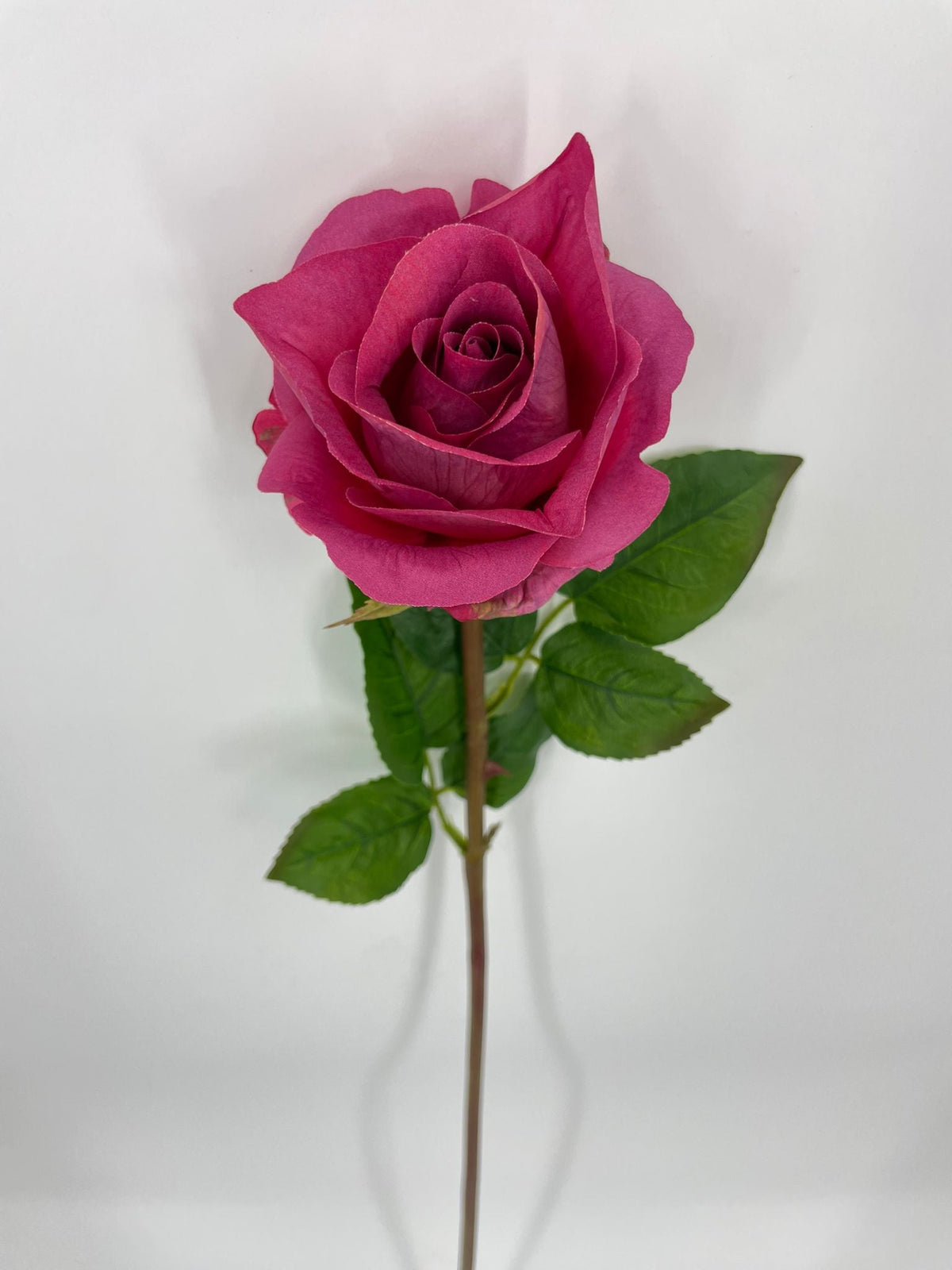 FN20072 ROSE BUD (NAT) 30"
