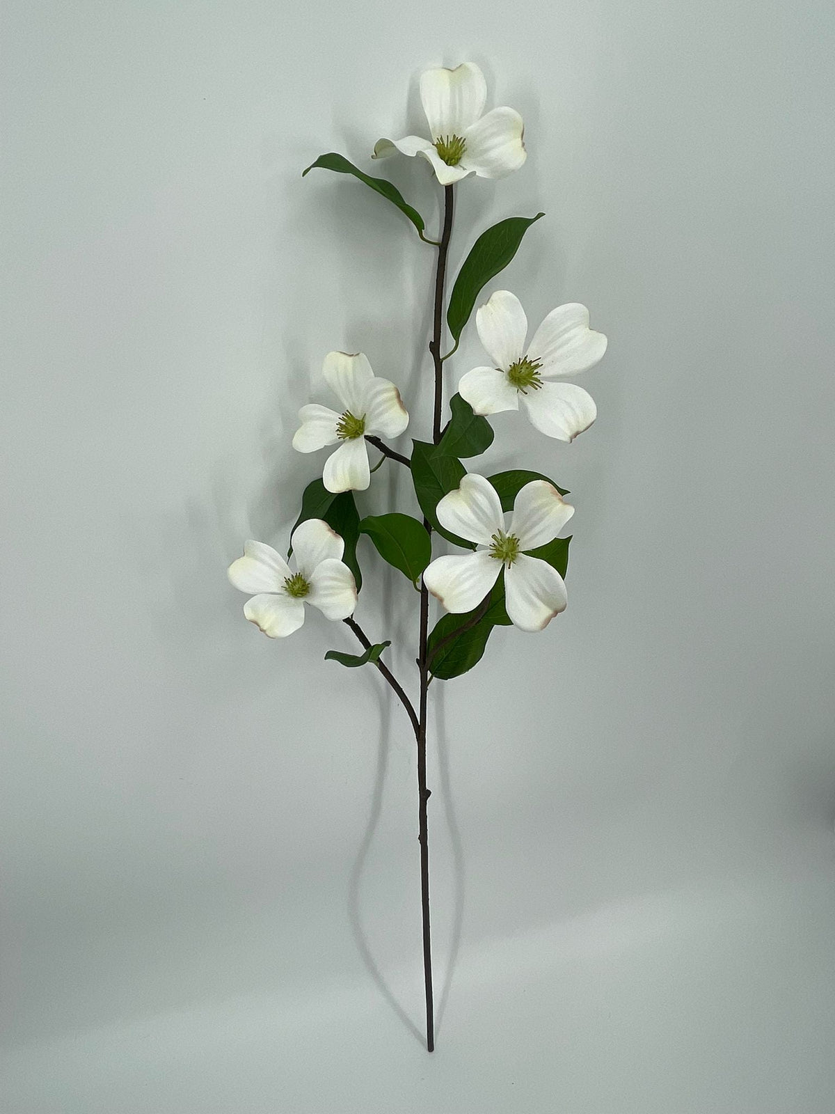 FN20084 DOGWOOD SPRAY (NAT) 36"