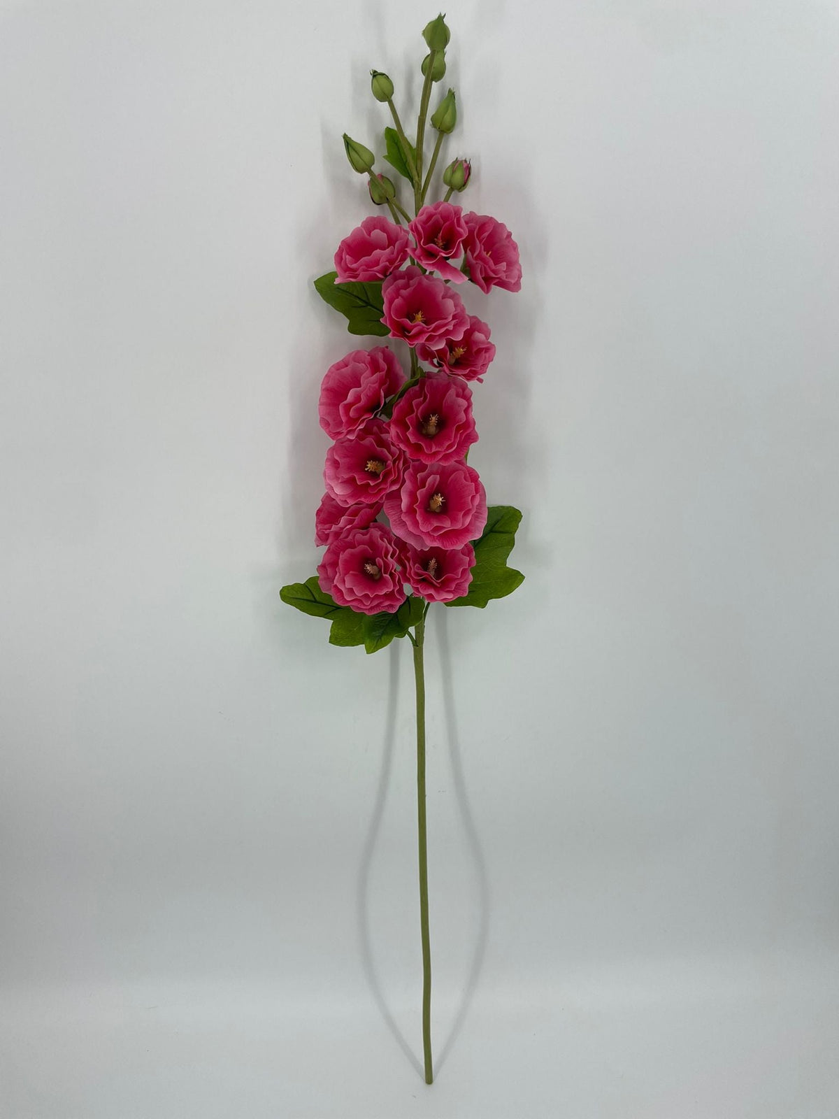 FN20086 HOLLY HOCK (NAT) 42"