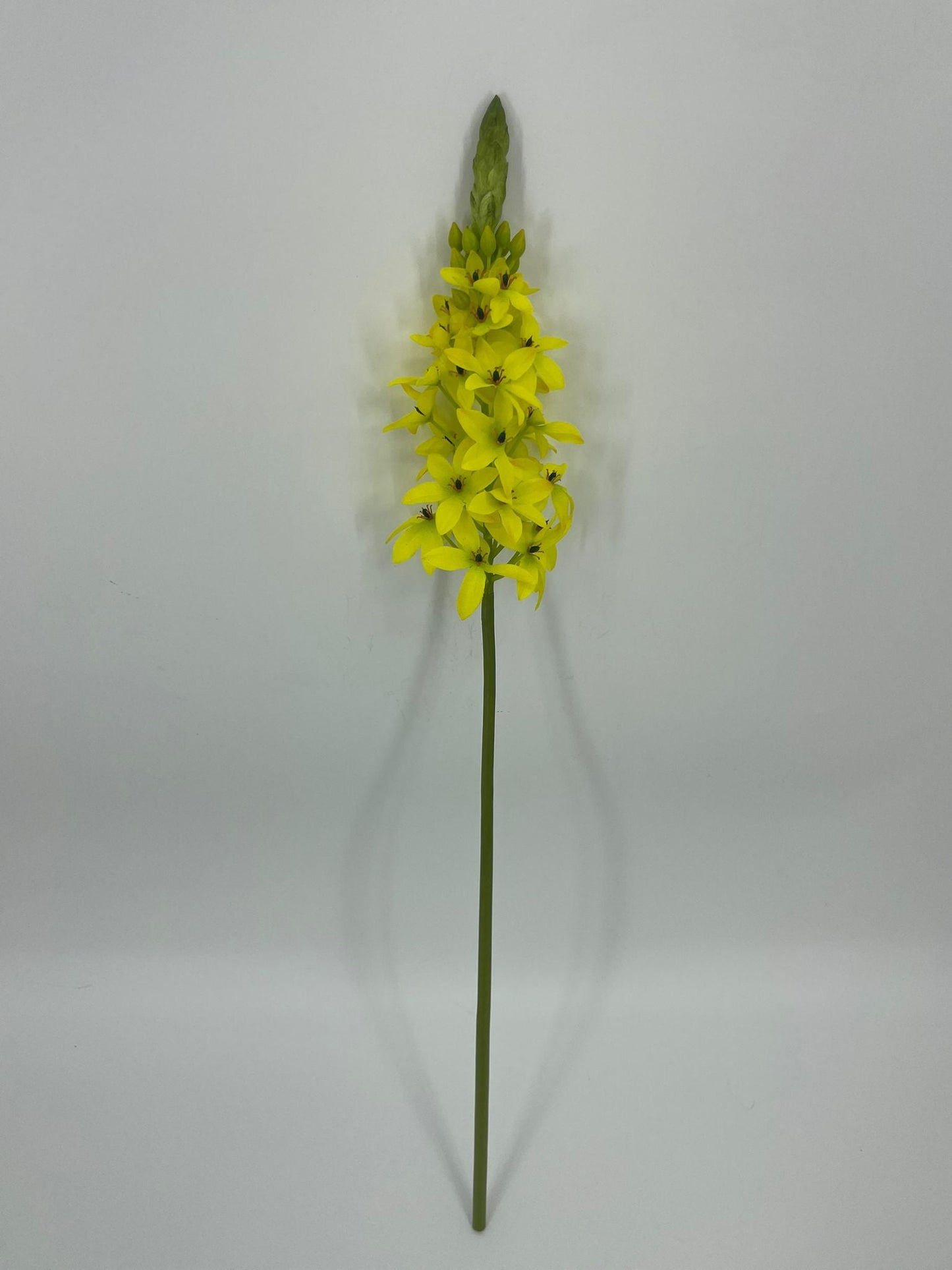 FN20087 PRIMROSE SPRAY (NAT) 28"