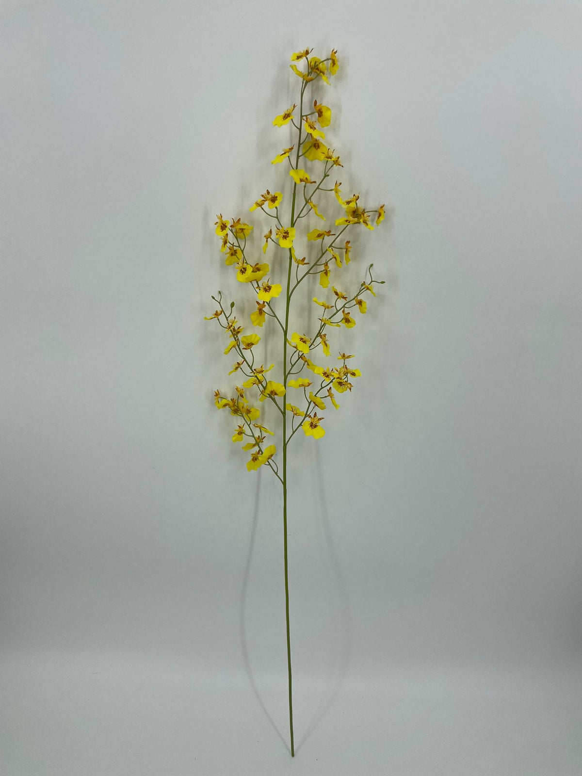 FN20091 ONCIDIUM SPRAY (NAT) 41"