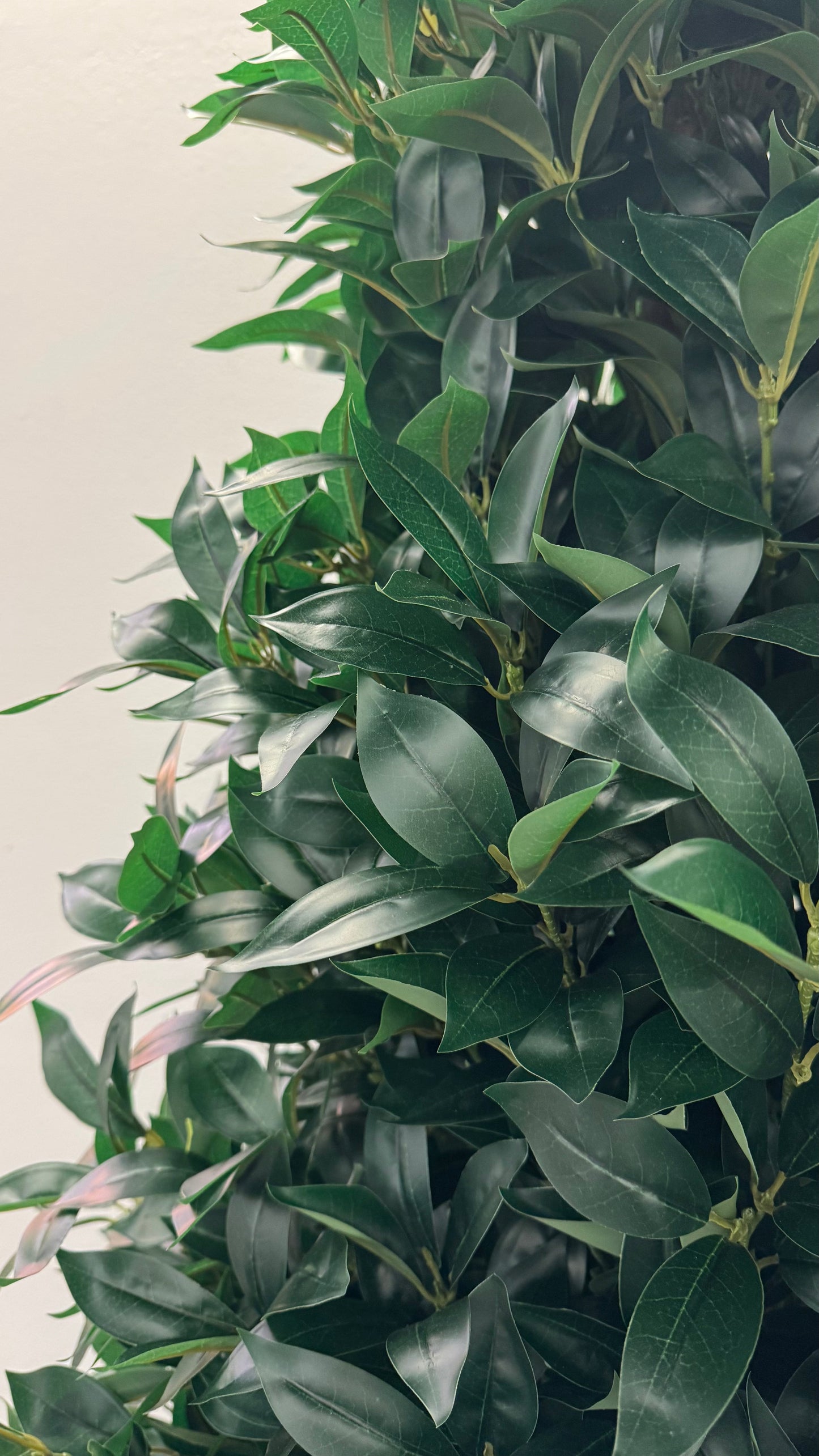 UVT1021 BAY LEAF CONE TREE (UV) 8'