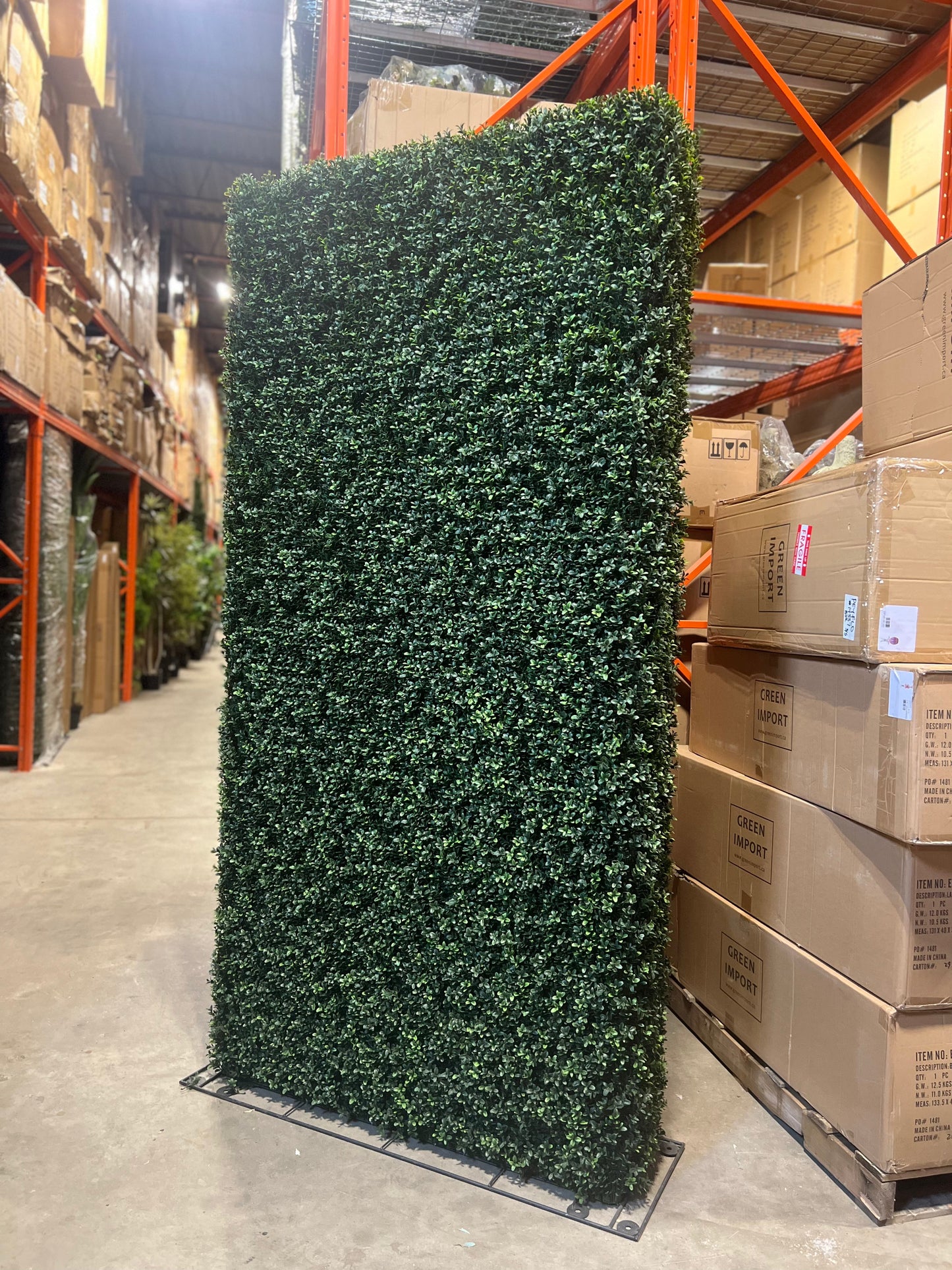 UVT1032 BOXWOOD HEDGE (UV) 8'x4'x12"