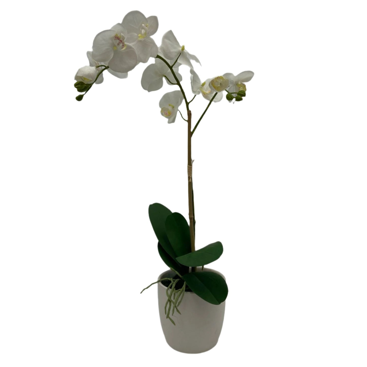 GA4192-482 POTTED RESIN ORCHID IN ROUND POT 21in