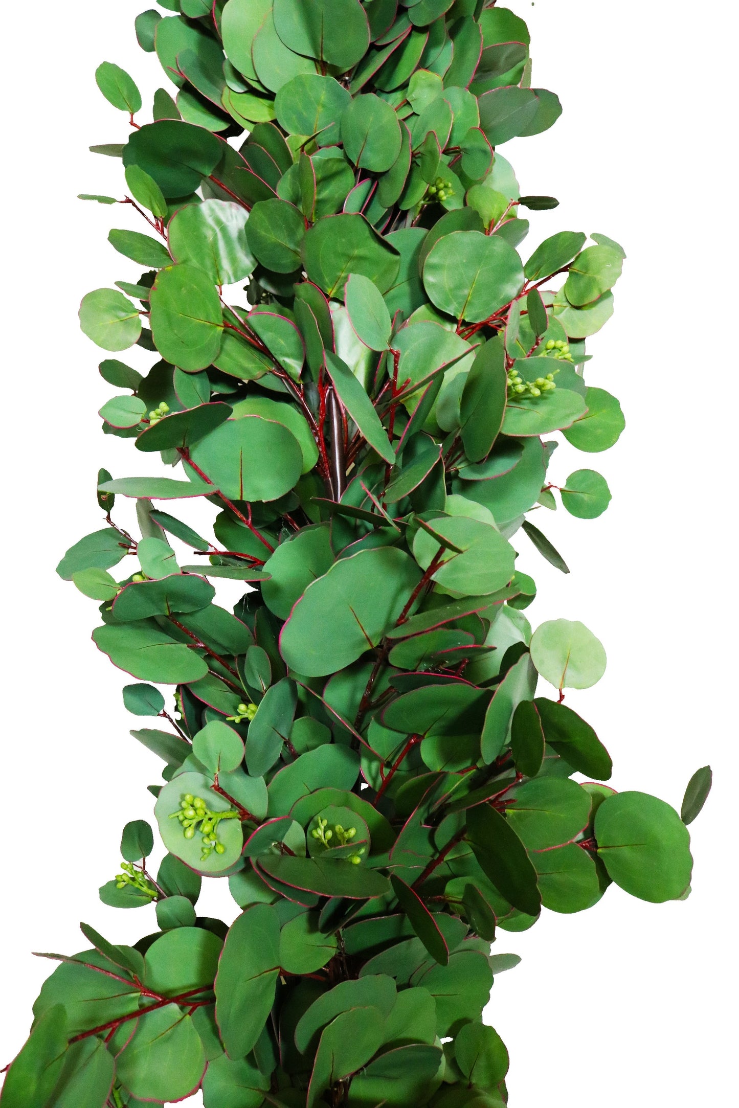 GG401 SILVER DOLLAR EUCALYPTUS GARLAND,10