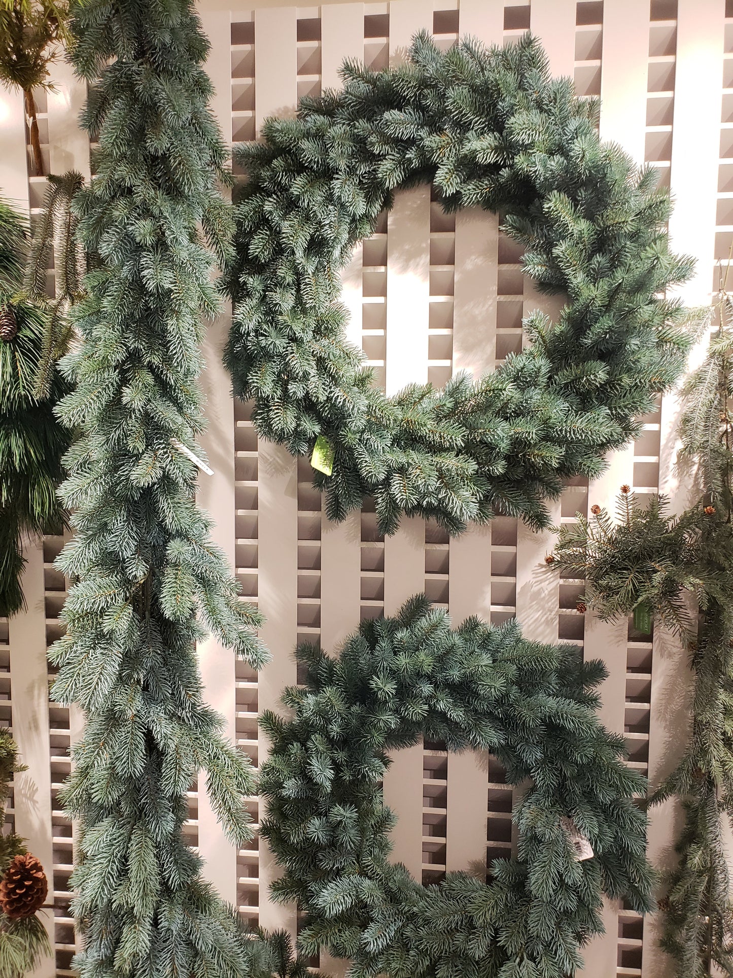 GG2451 BLUE SPRUCE GARLAND,10'