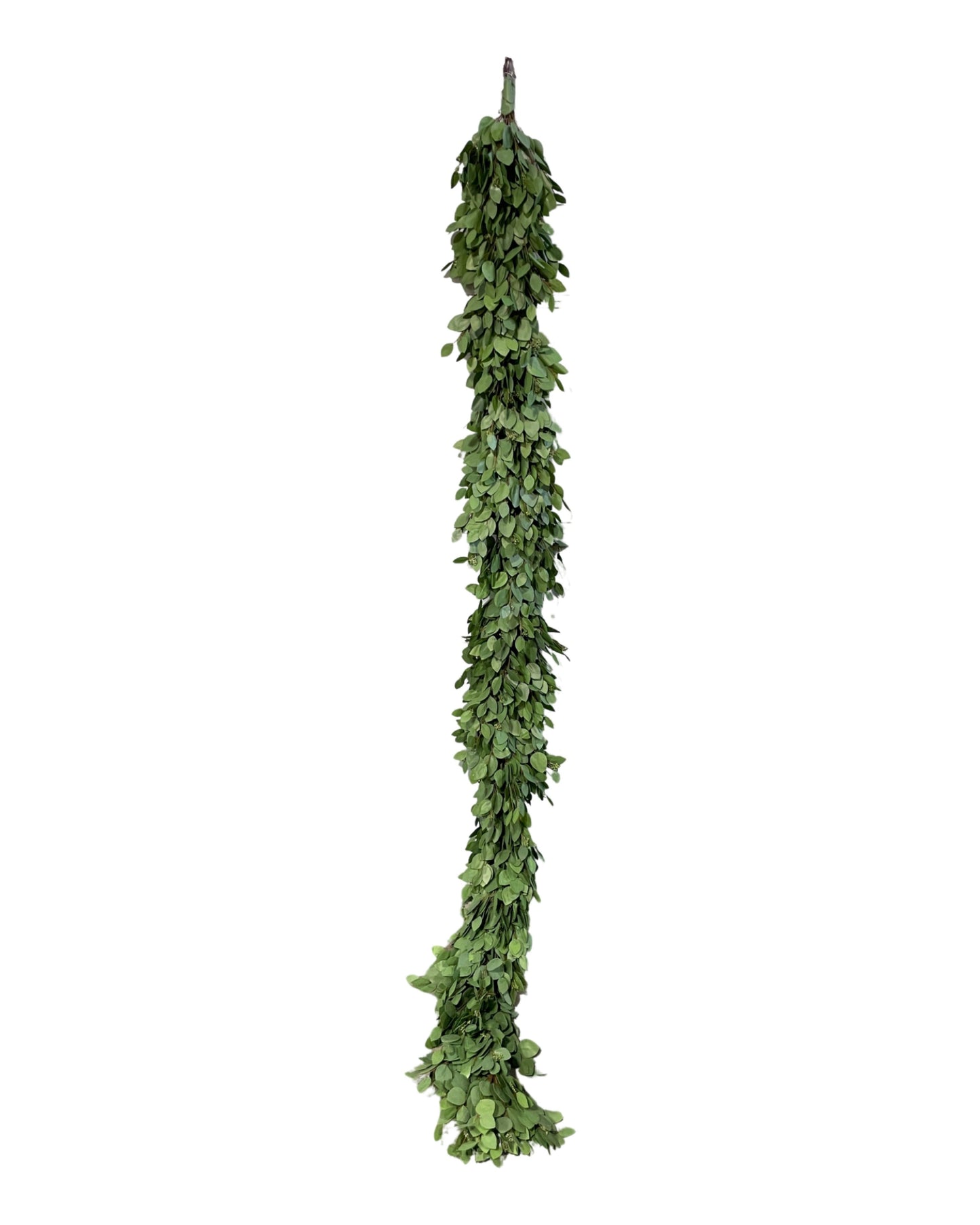 GG402 HEART SHAPED EUCALYPTUS GARLAND