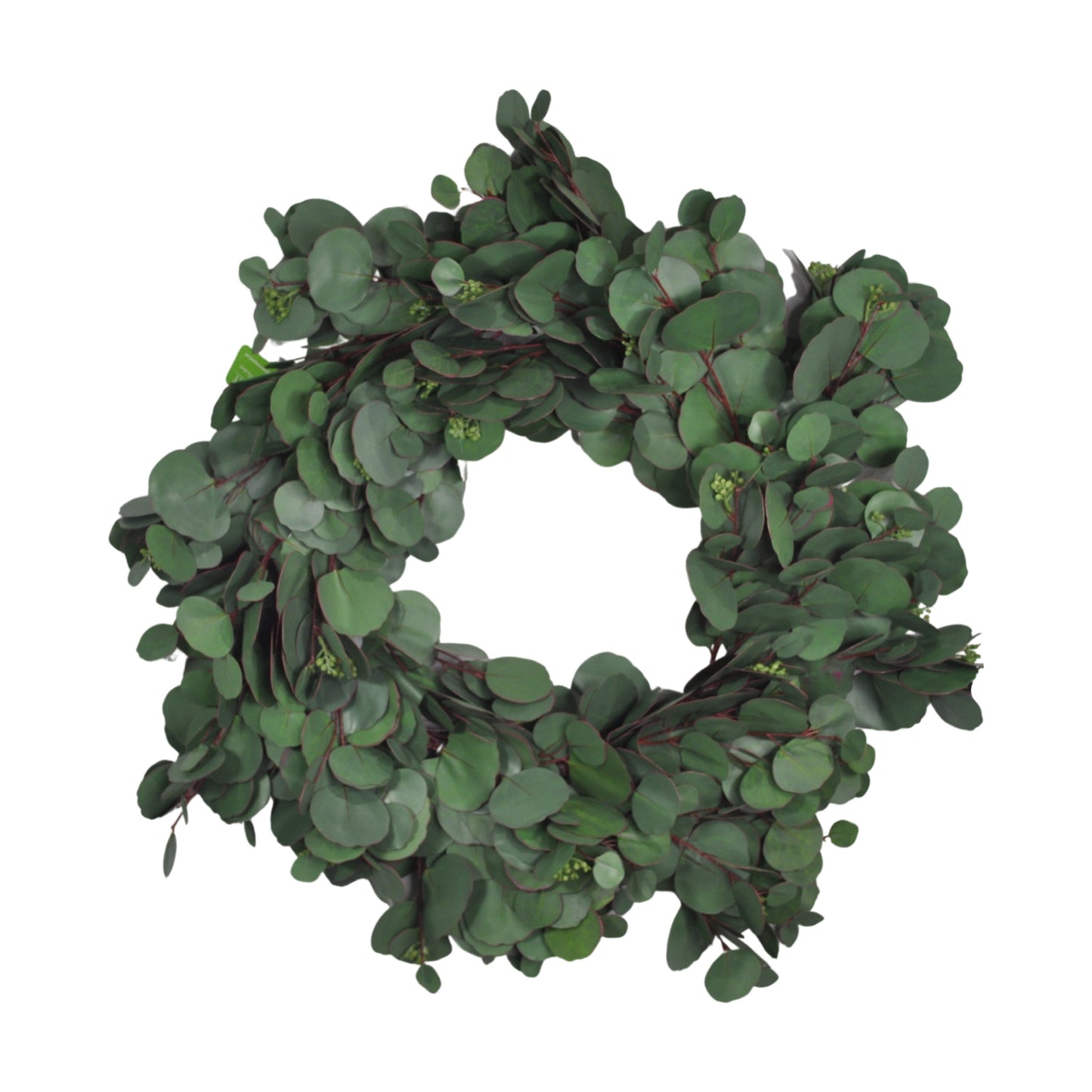 GW401 SILVER DOLLAR EUCALYPTUS WRTH