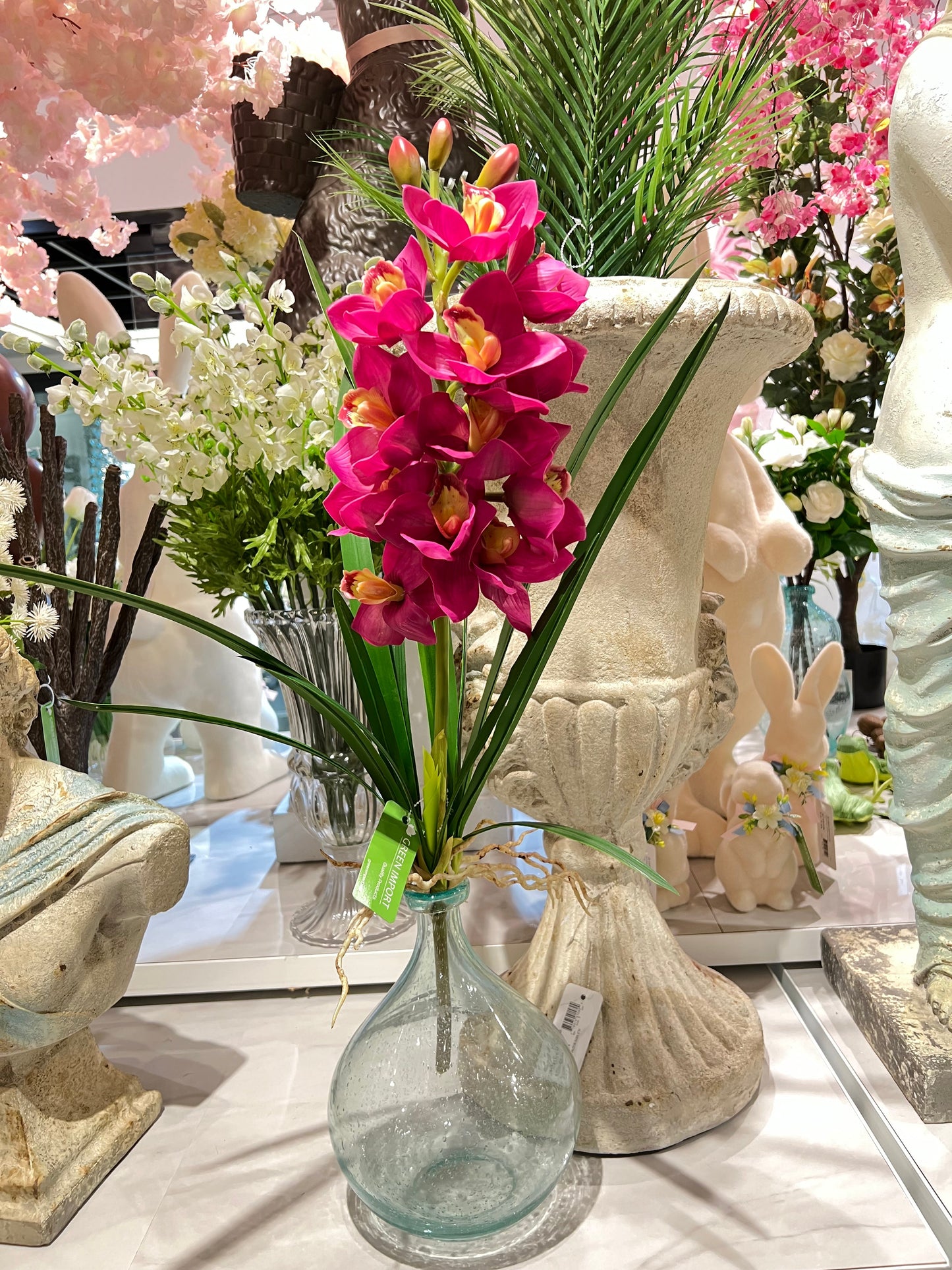 FL13356 CYMBIDIUM PLANT,27in-12/48P