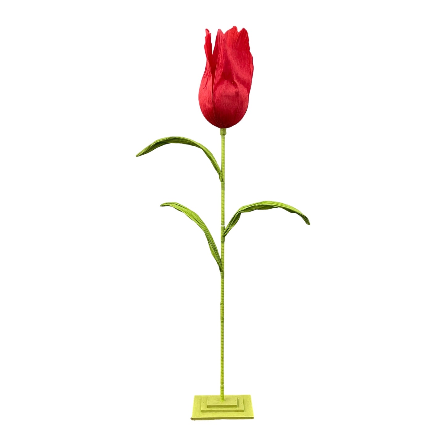 AC10211 GIANT TULIP w/STD, D23.5"x8'