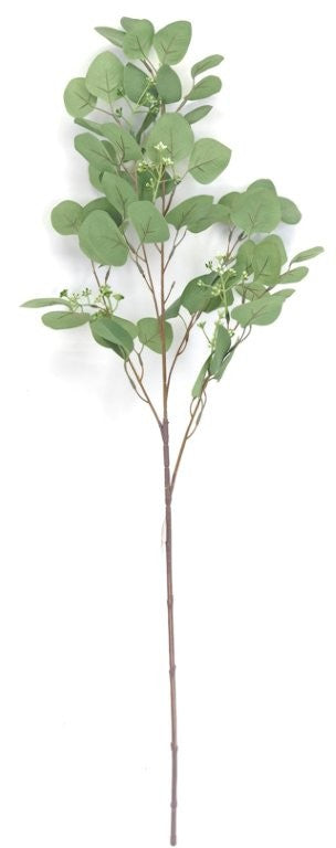 SY11207 DOLLAR EUCALYPTUS SPRAY w/SEEDS 35"