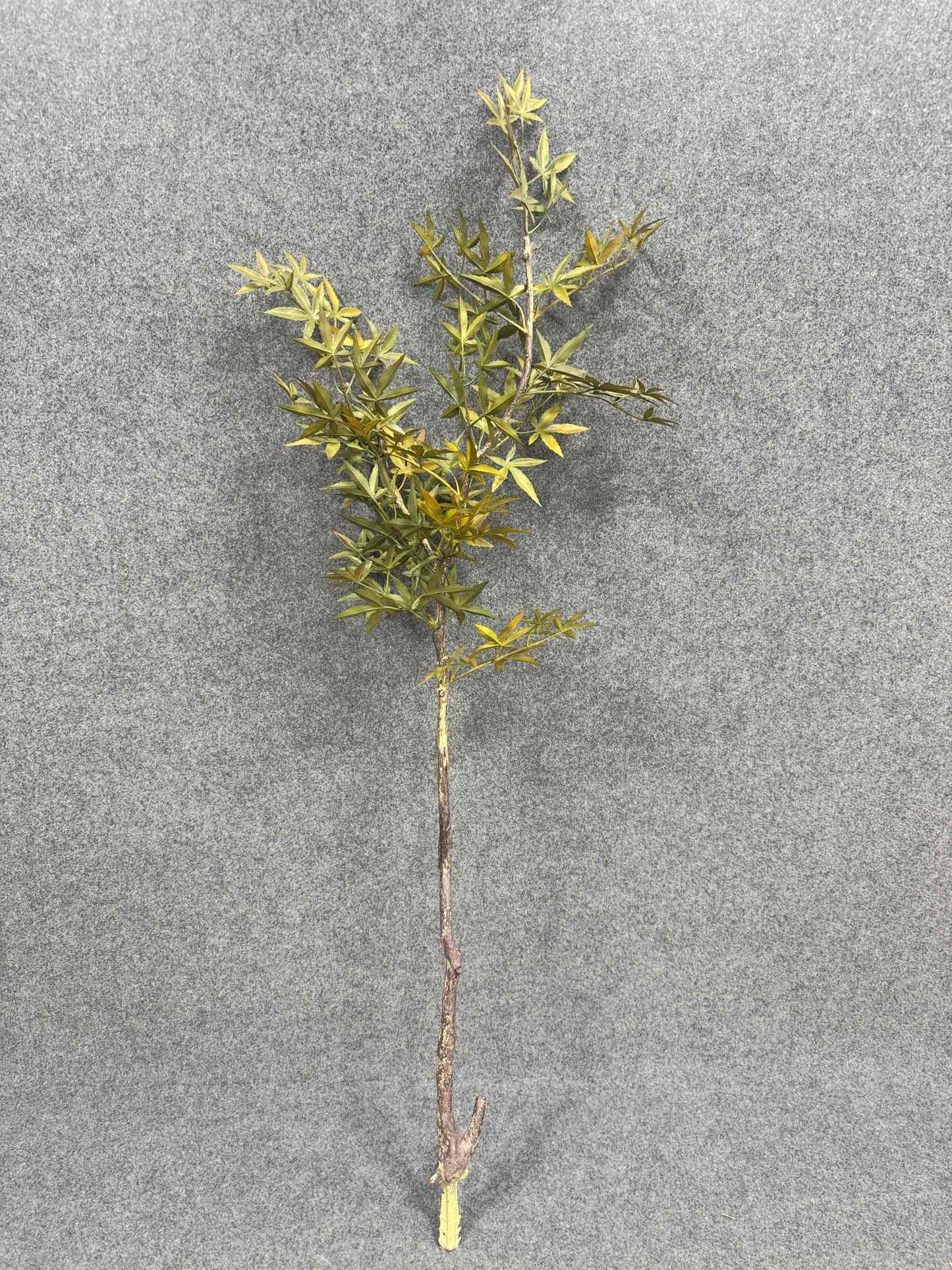 SY11206 JAPANESE MAPLE BRANCH 50"