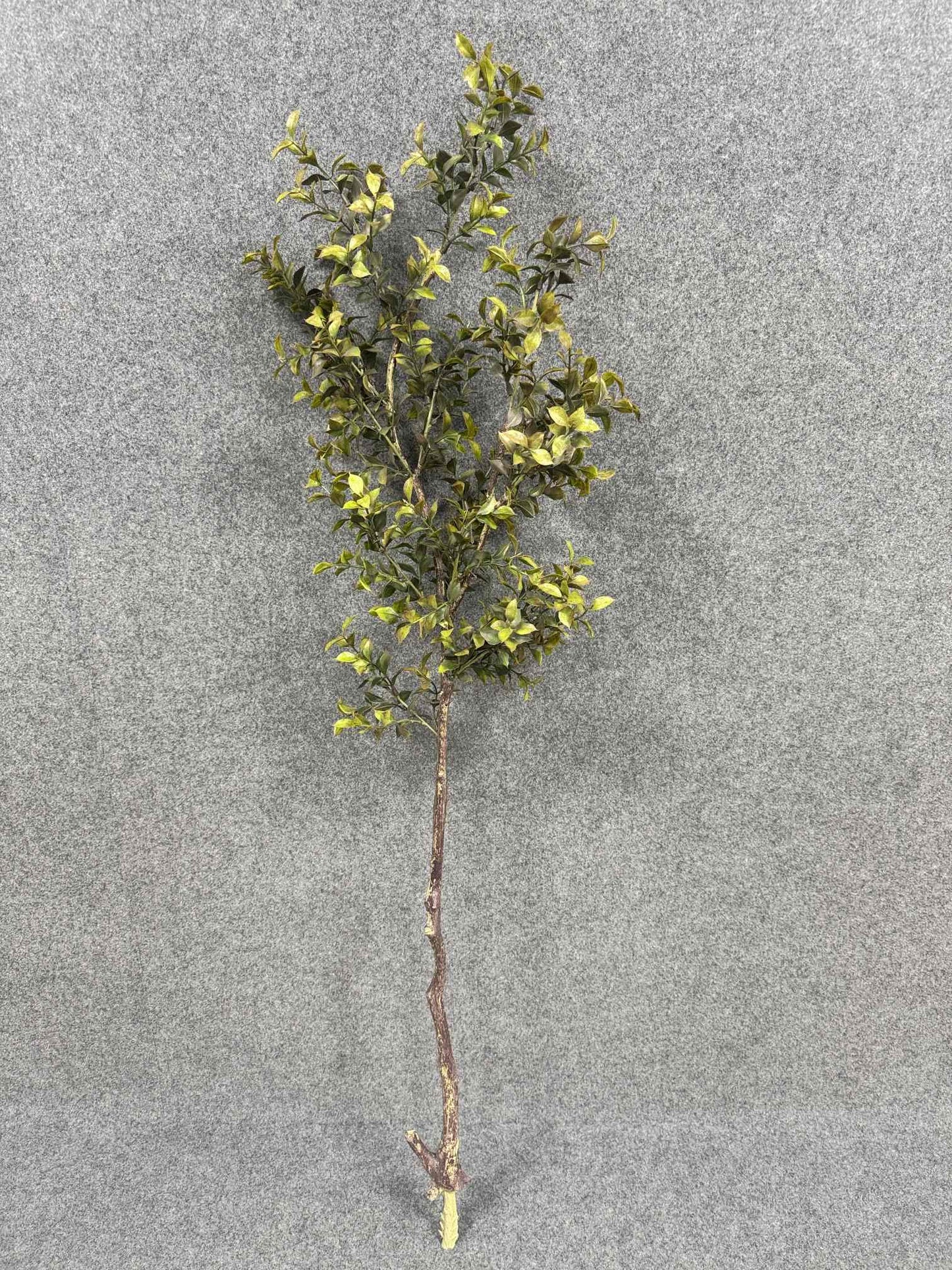 SY11202 TEA LEAF BRANCH 50"
