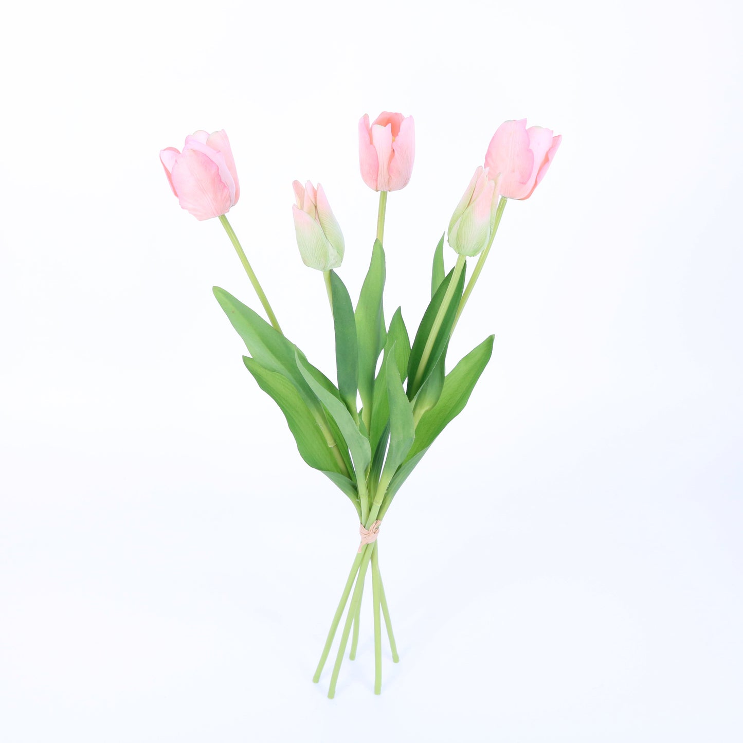 PA10172 TULIP BUNDLEx5(NAT. TOUCH),22in-12P