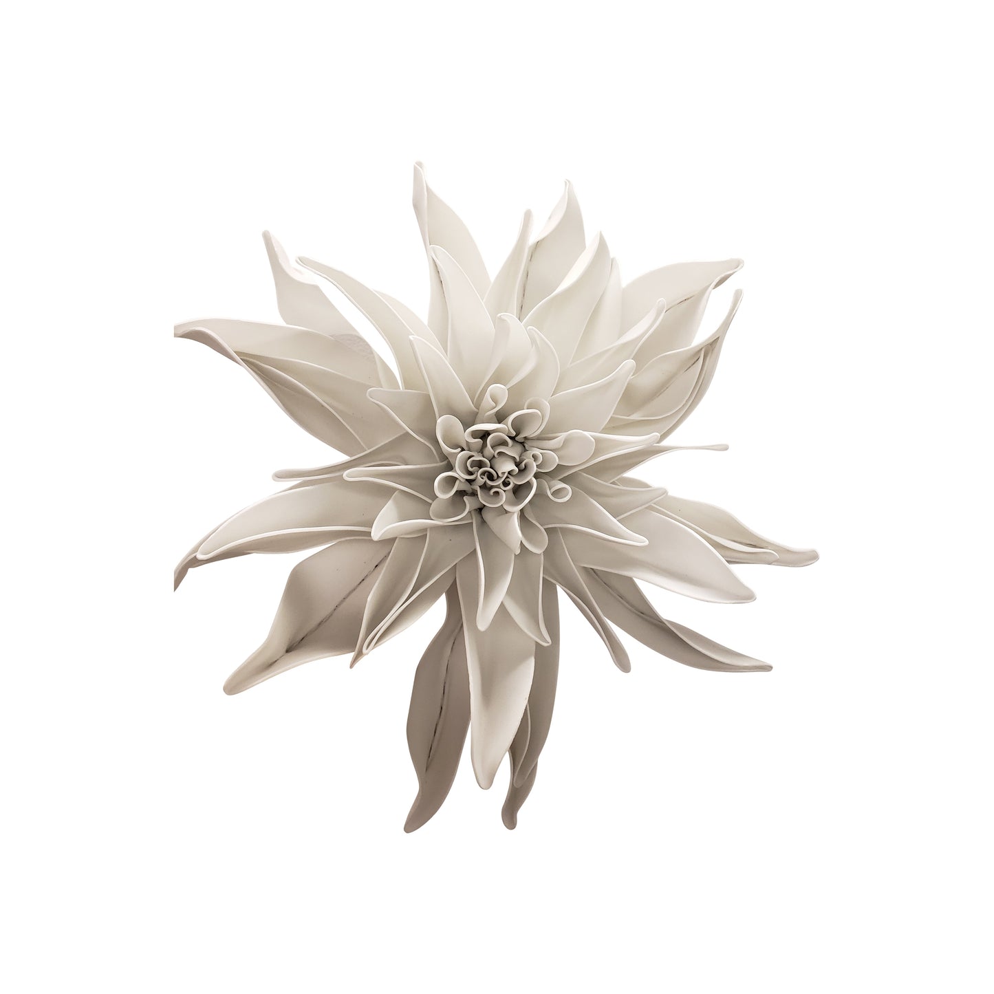 PA10252 DAHLIA FLOWER HEAD,D16in-5P/30/9.35