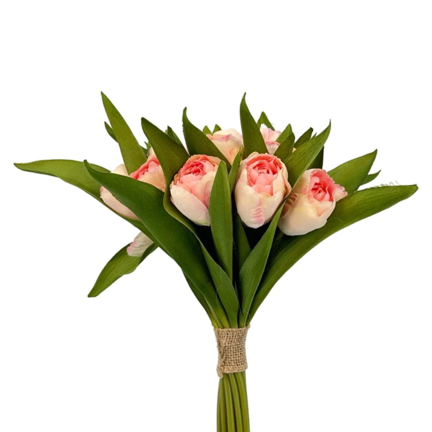 PA10338 TULIP BUNDLEx16F,14"
