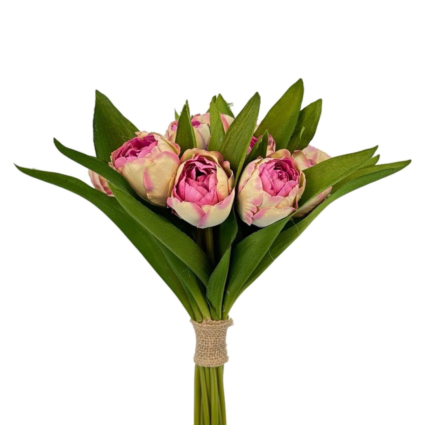 PA10338 TULIP BUNDLEx16F,14"