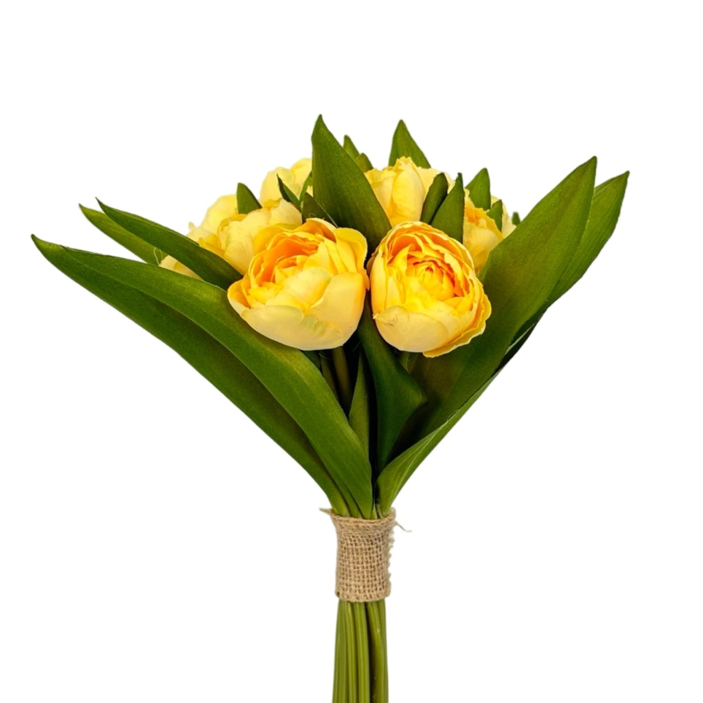 PA10338 TULIP BUNDLEx16F,14"