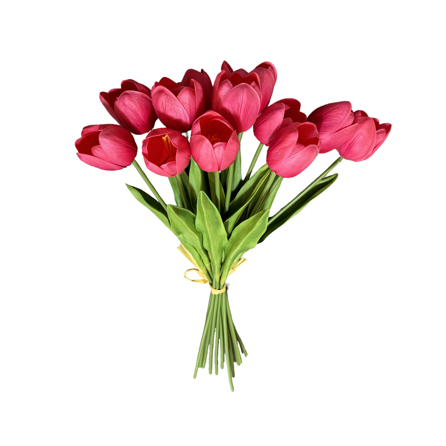PA10405 TULIP BUNDLEx12 20"