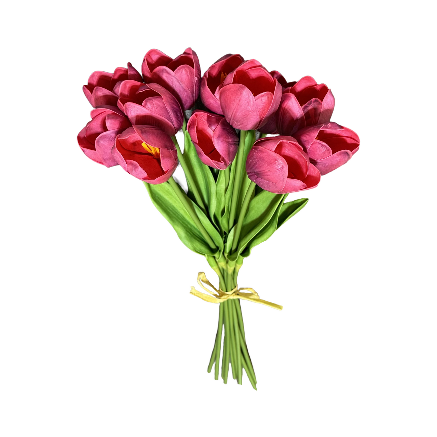PA10405 TULIP BUNDLEx12 20"