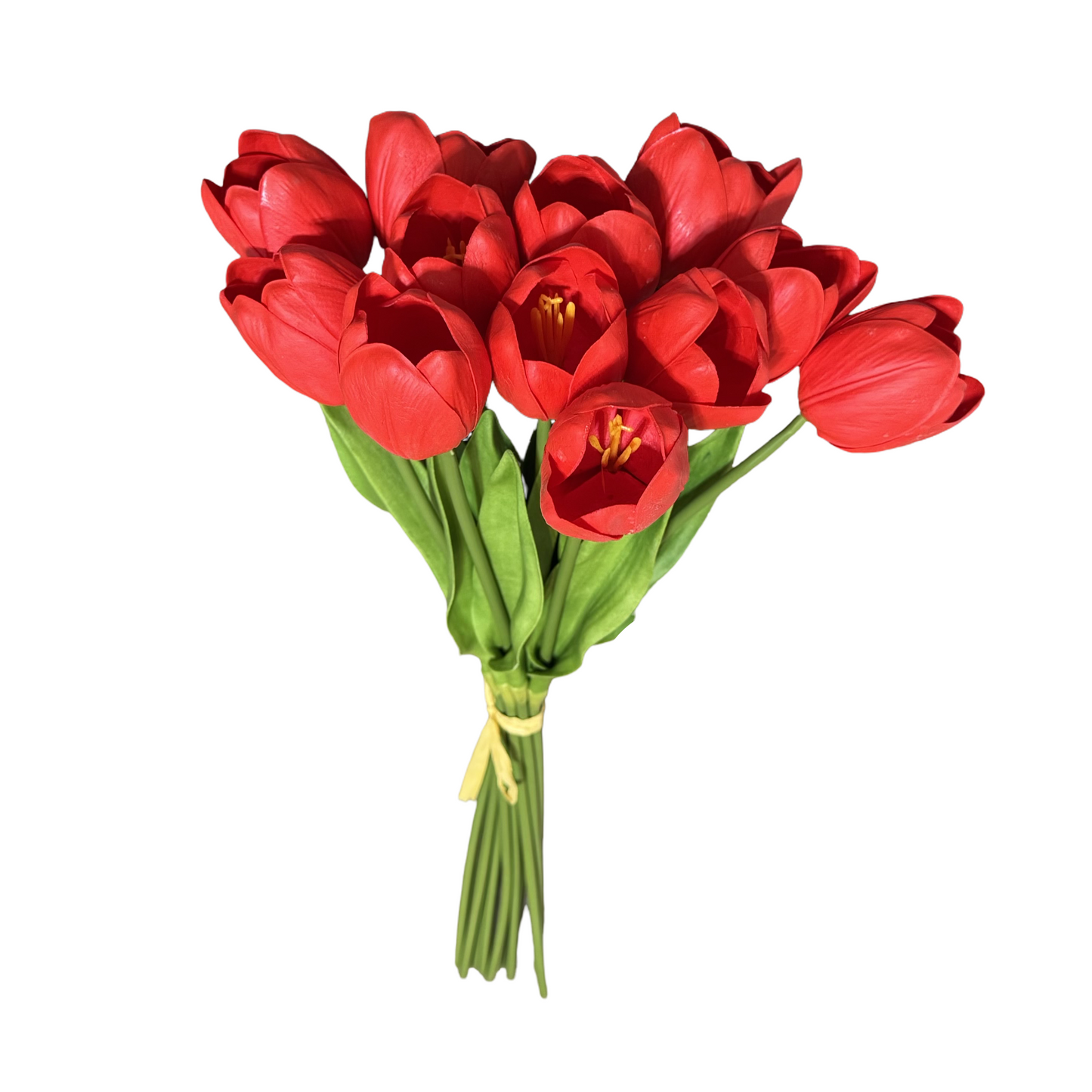 PA10405 TULIP BUNDLEx12 20"