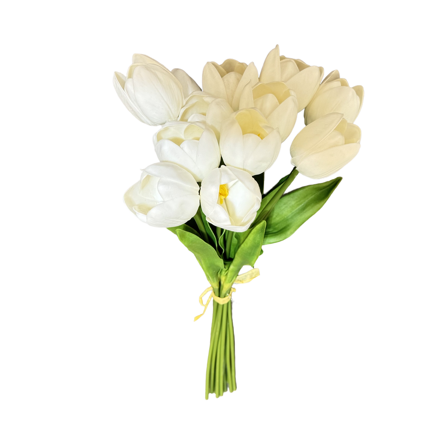 PA10405 TULIP BUNDLEx12 20"