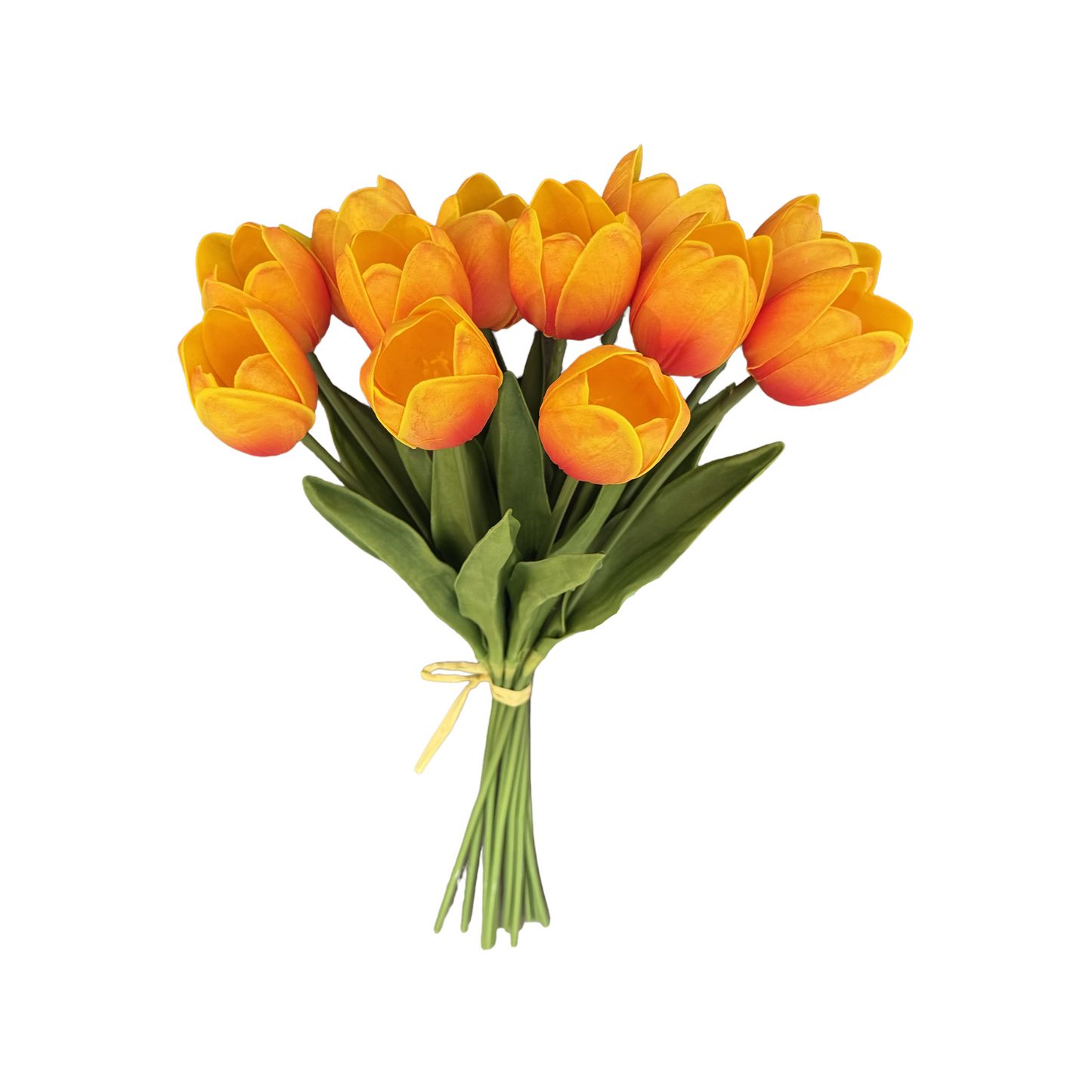 PA10405 TULIP BUNDLEx12 20"