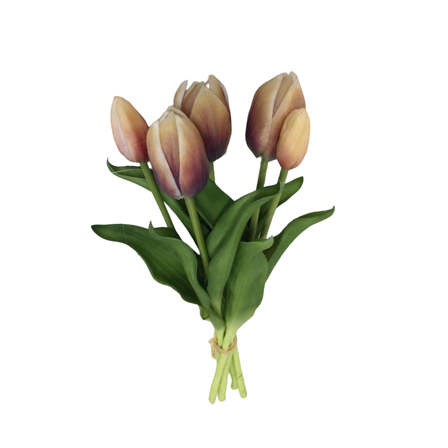 PA10416 TULIP BUNDLEx5 16"