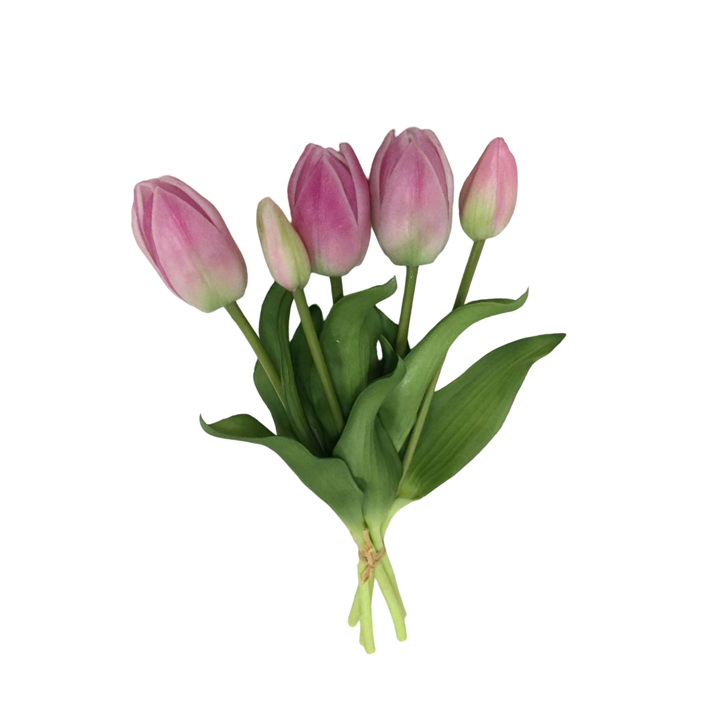 PA10416 TULIP BUNDLEx5 16"