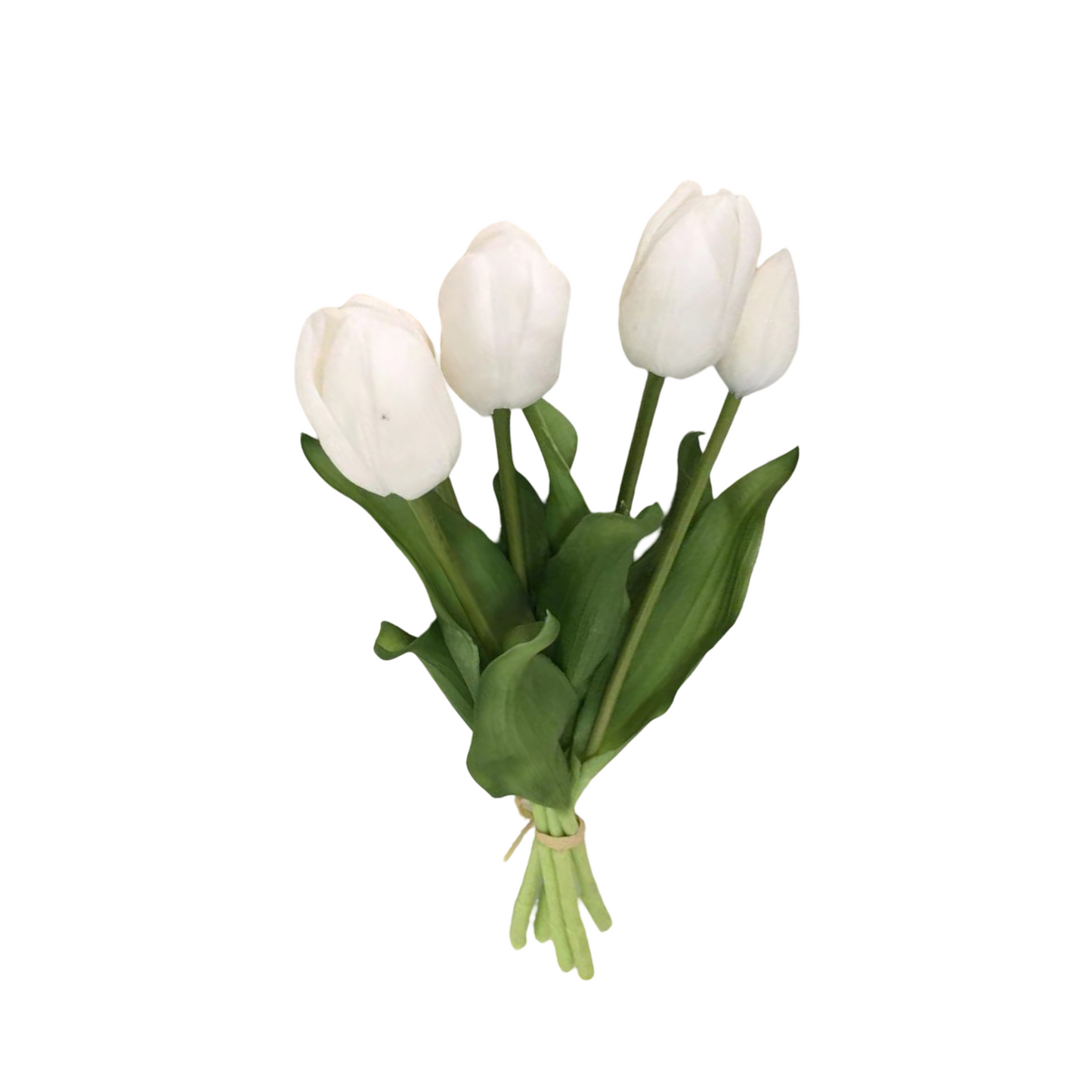 PA10416 TULIP BUNDLEx5 16"